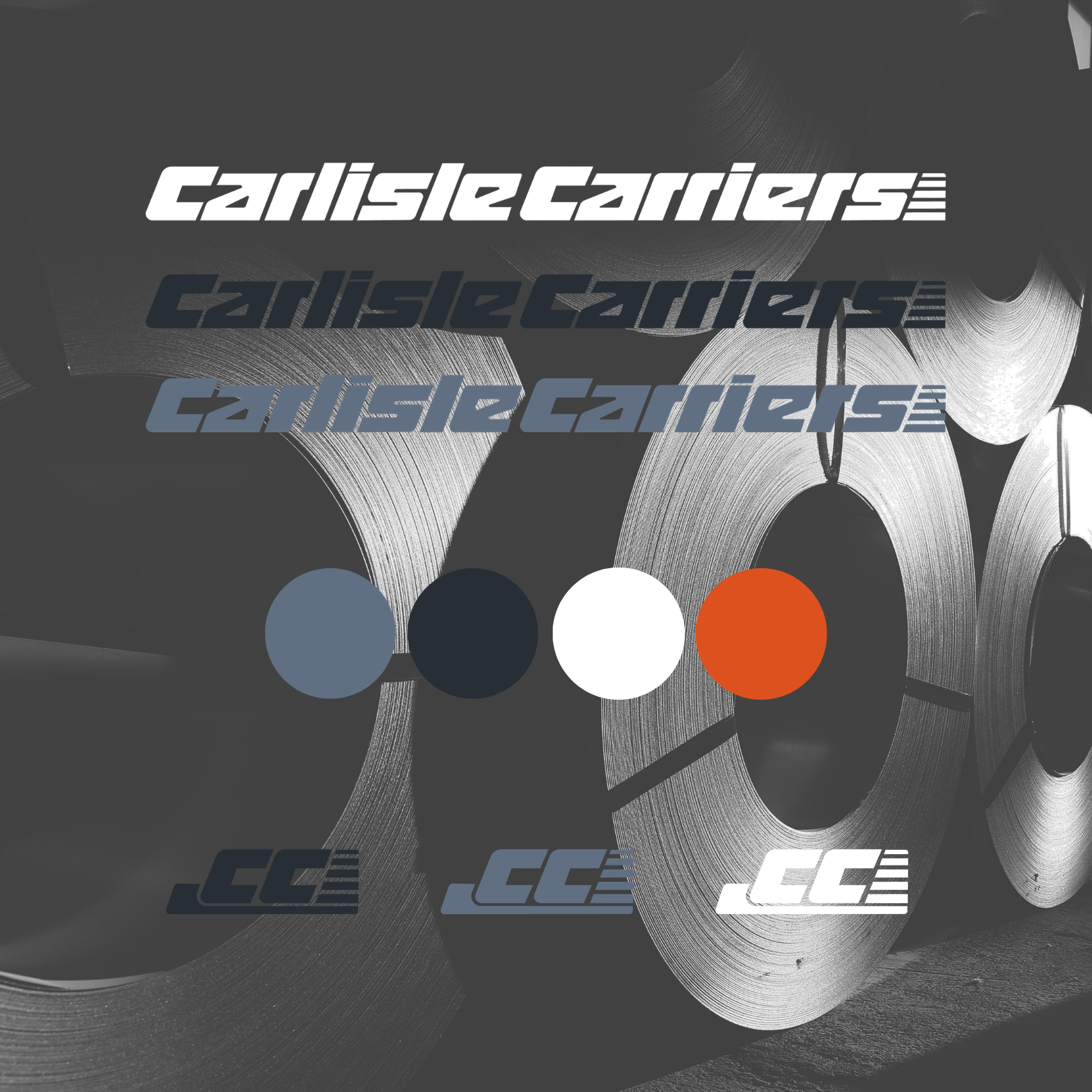 Logo Options and Color Scheme in front of Low Contrast Steel