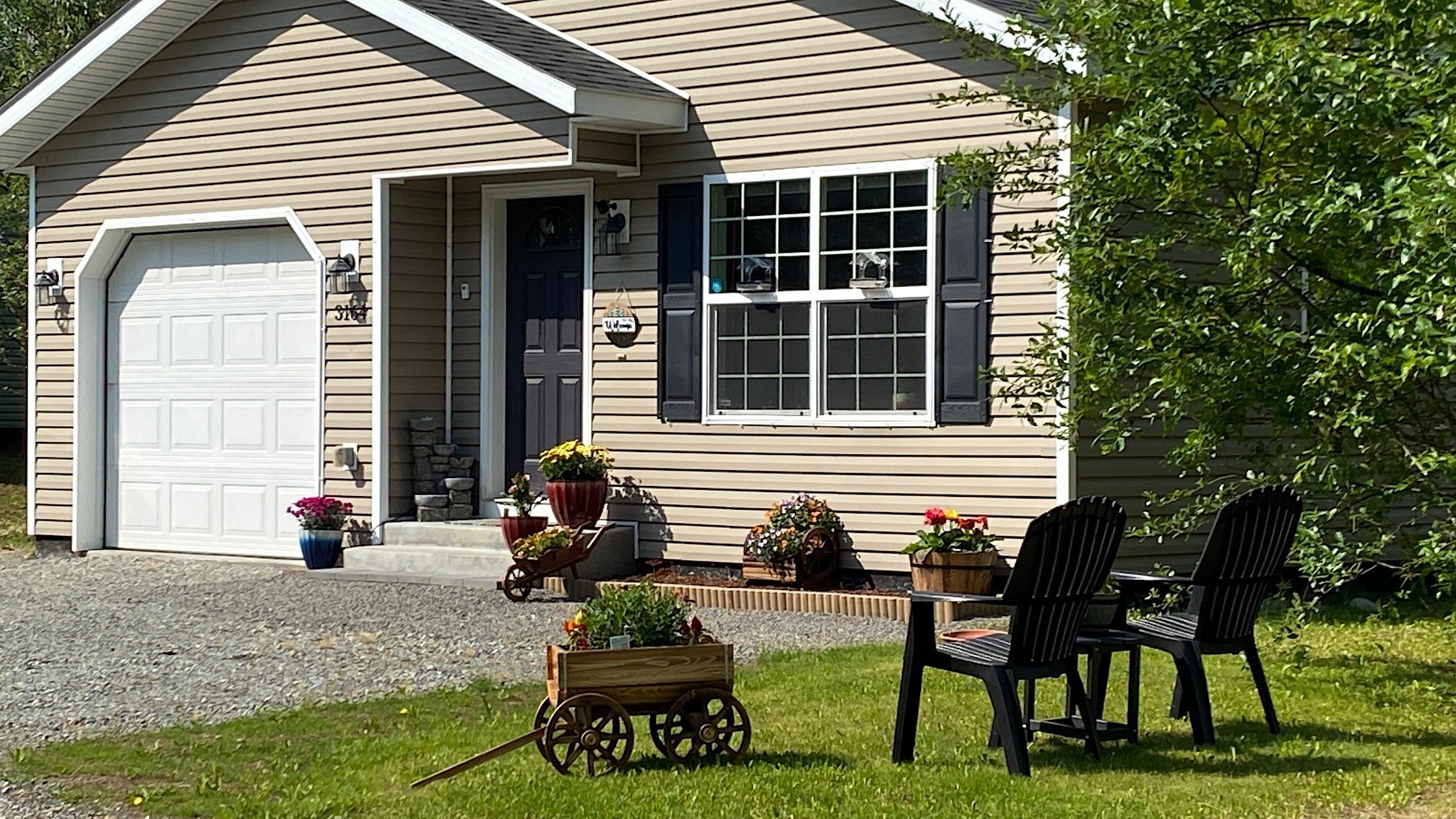 Why Mosquitoes Are So Bad in Alaska (And What Palmer &amp; Wasilla Homeowners Can Do)