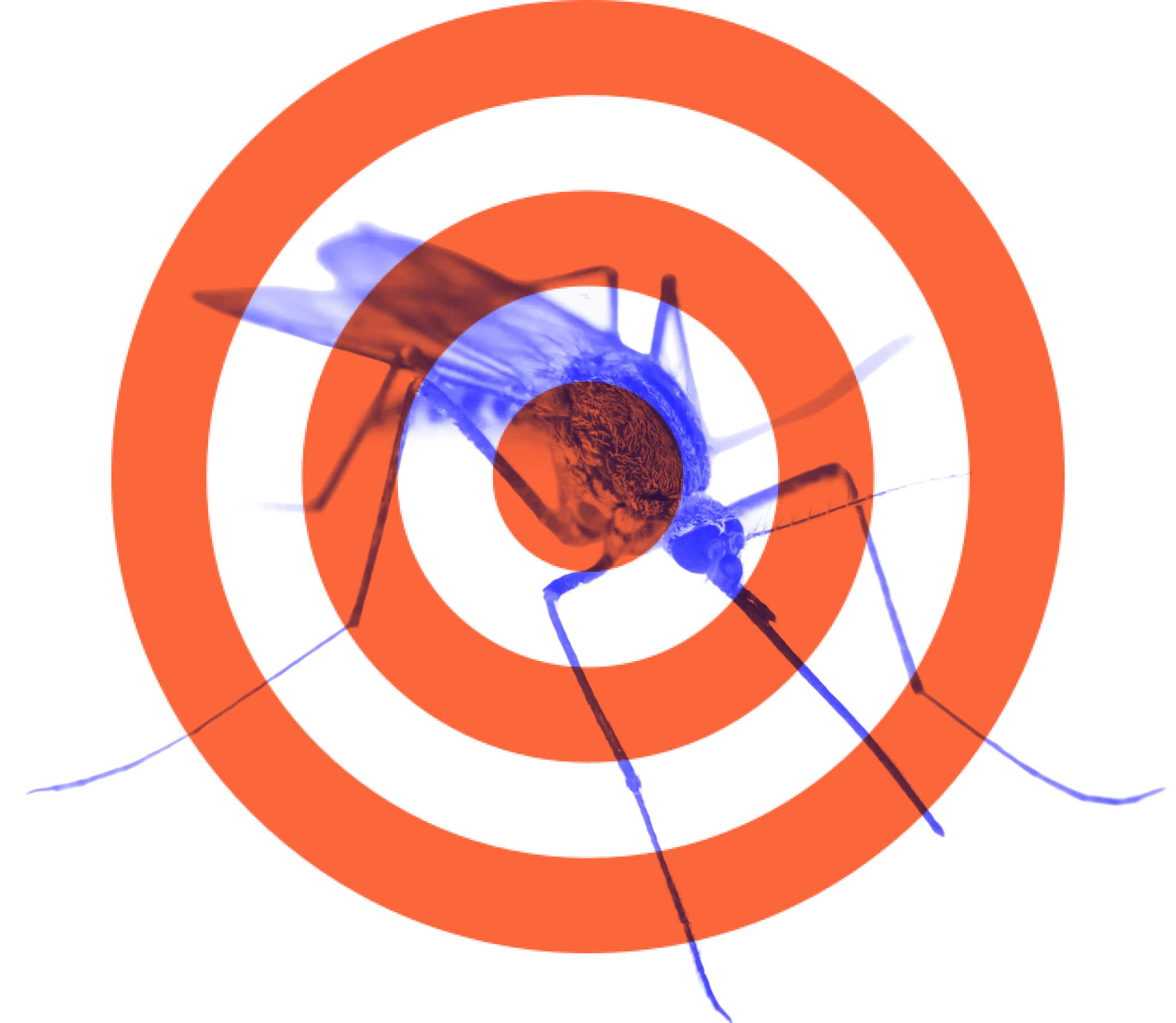 Mosquito illustration over bullseye target highlighting effective mosquito control in Palmer and Wasilla Alaska