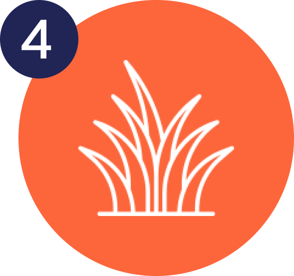 Step 4 ongoing mosquito control protection for Alaska lawns and outdoor spaces in the Mat-Su Valley