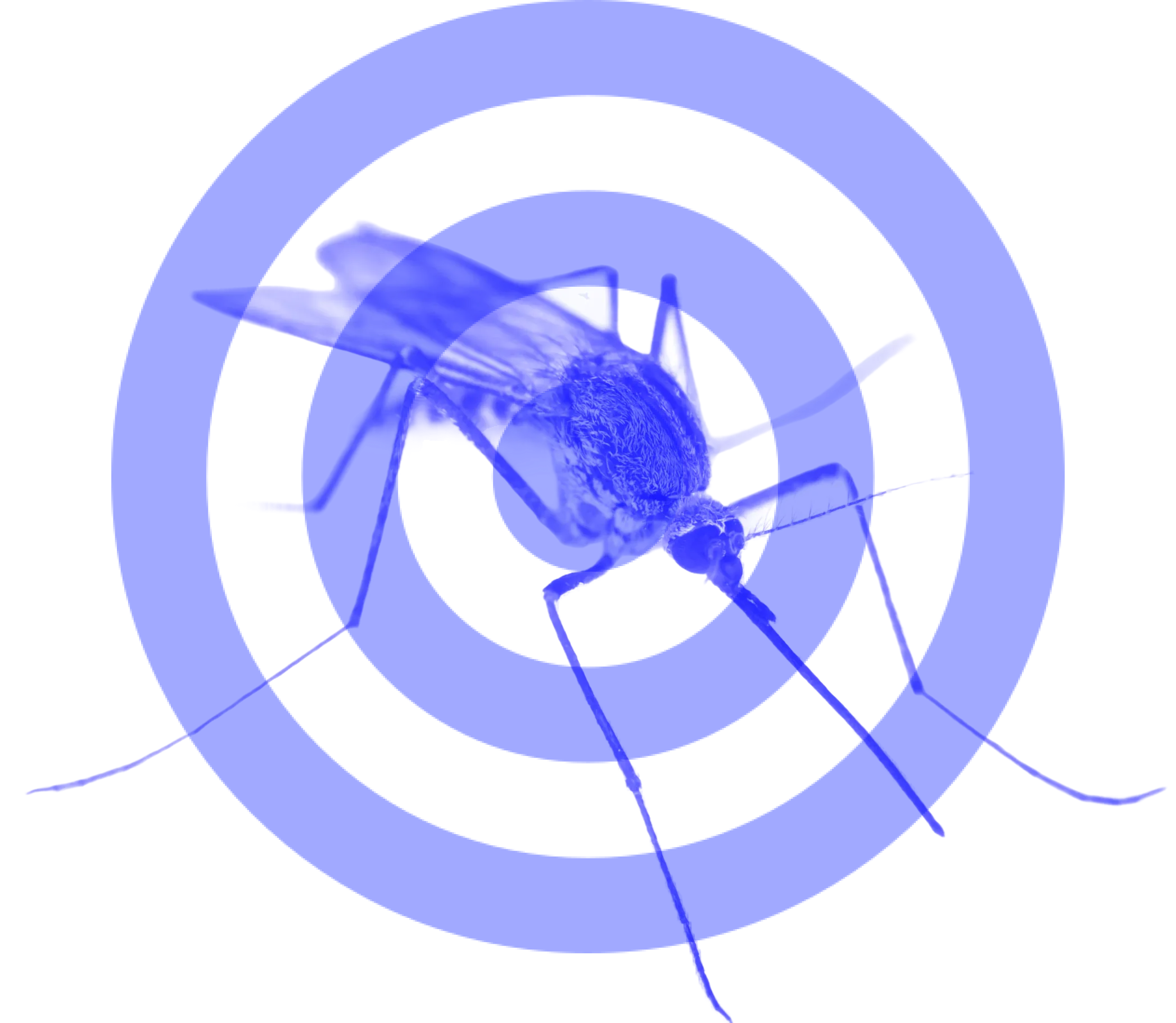 Graphic of mosquito on target representing focused pest control solutions in the Mat-Su Valley Alaska