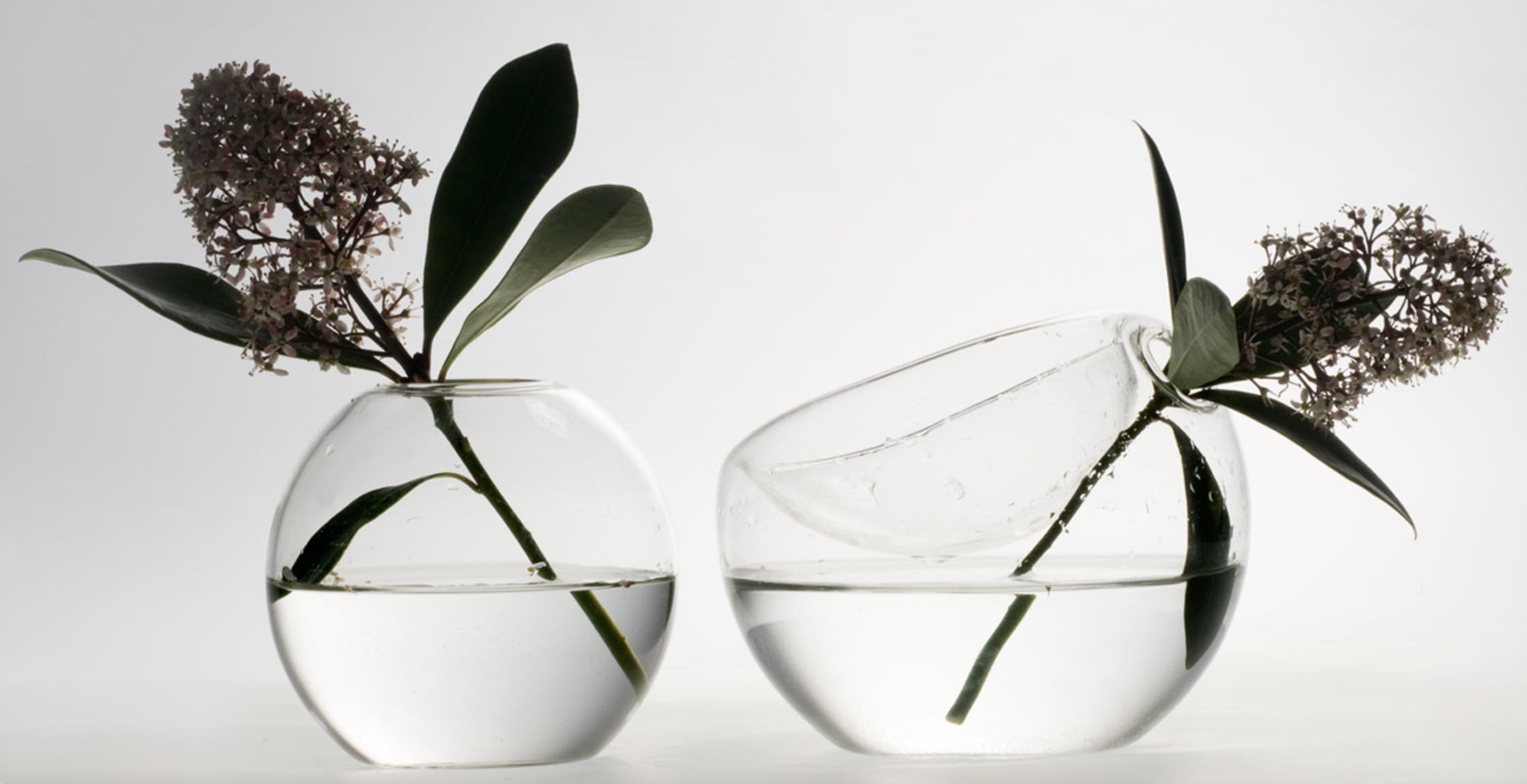 Screenshot 2026-03-07 at 3.20.49 PM.jpg