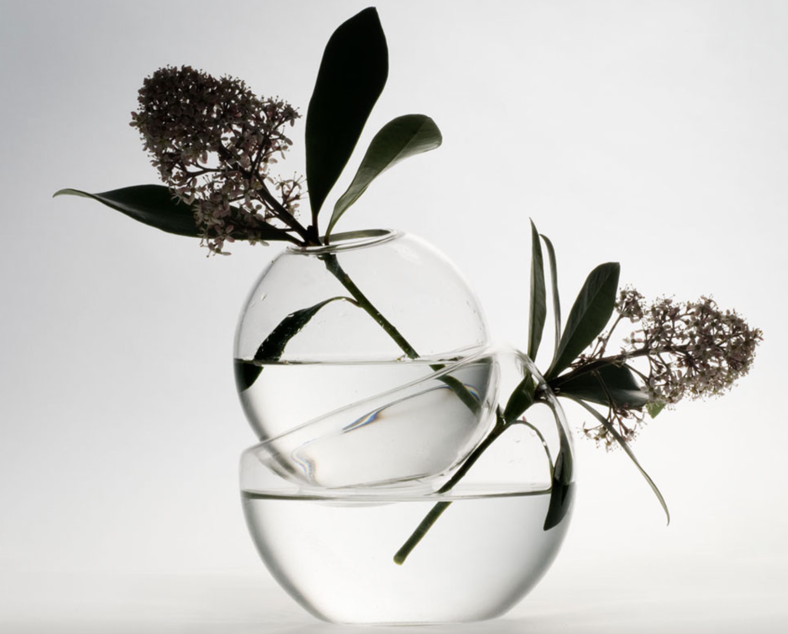 Screenshot 2026-01-29 at 4.05.53 PM.png