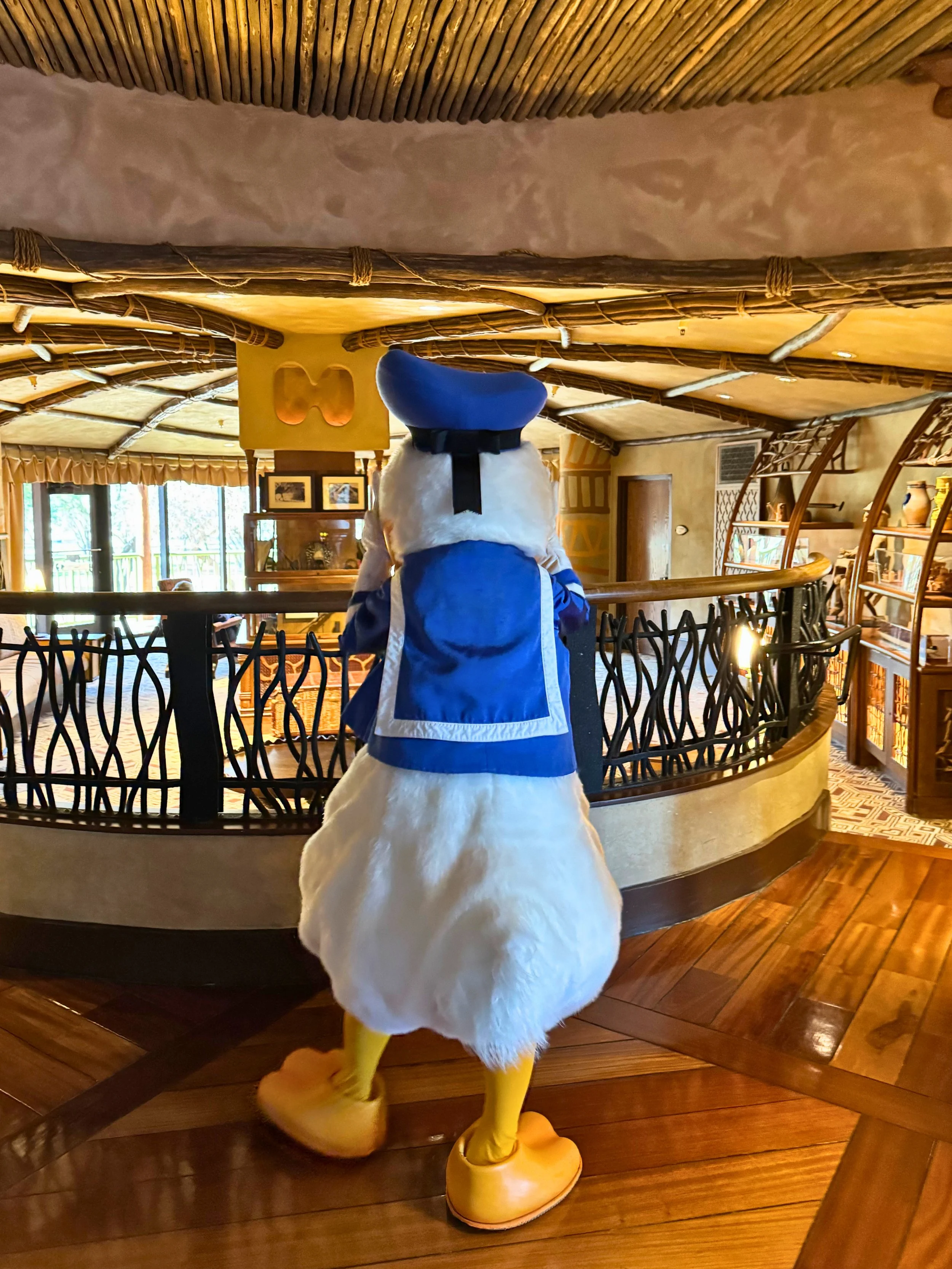 donald duck 4.jpg