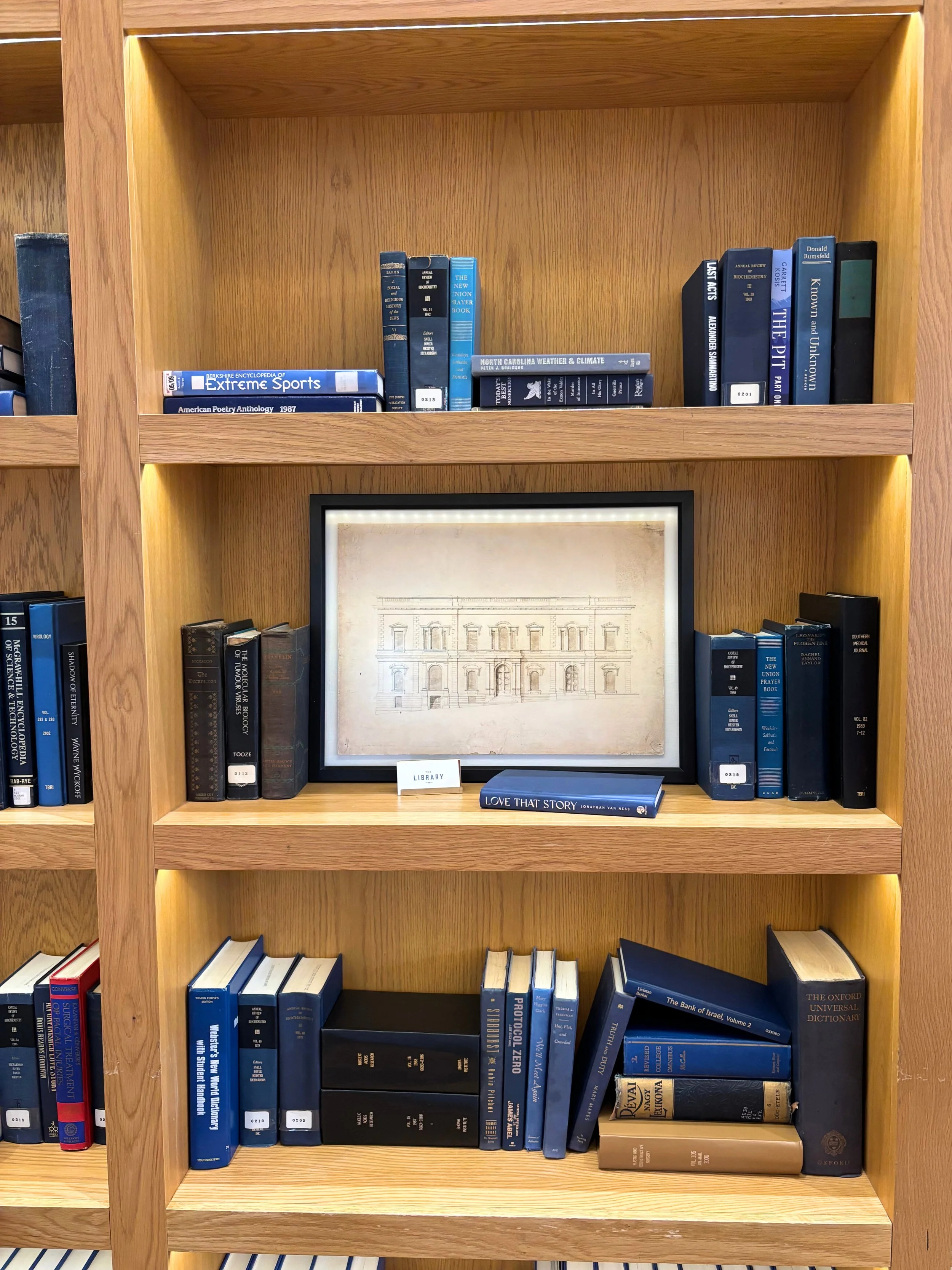 inside library.jpg
