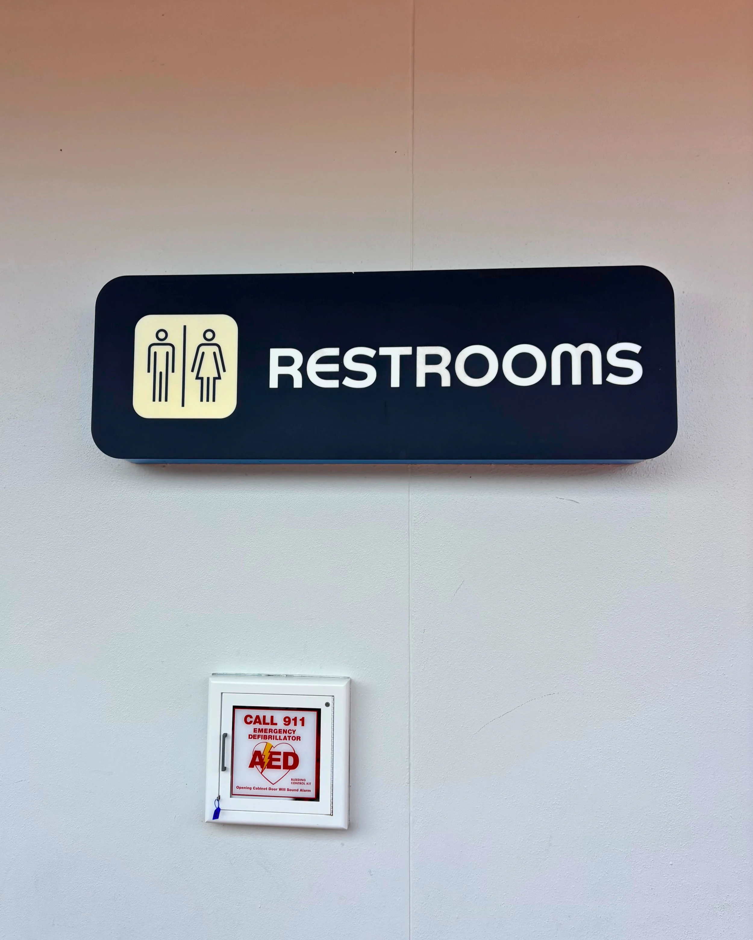 Bathroom #6: The Useful Little Ho-Hum Hero