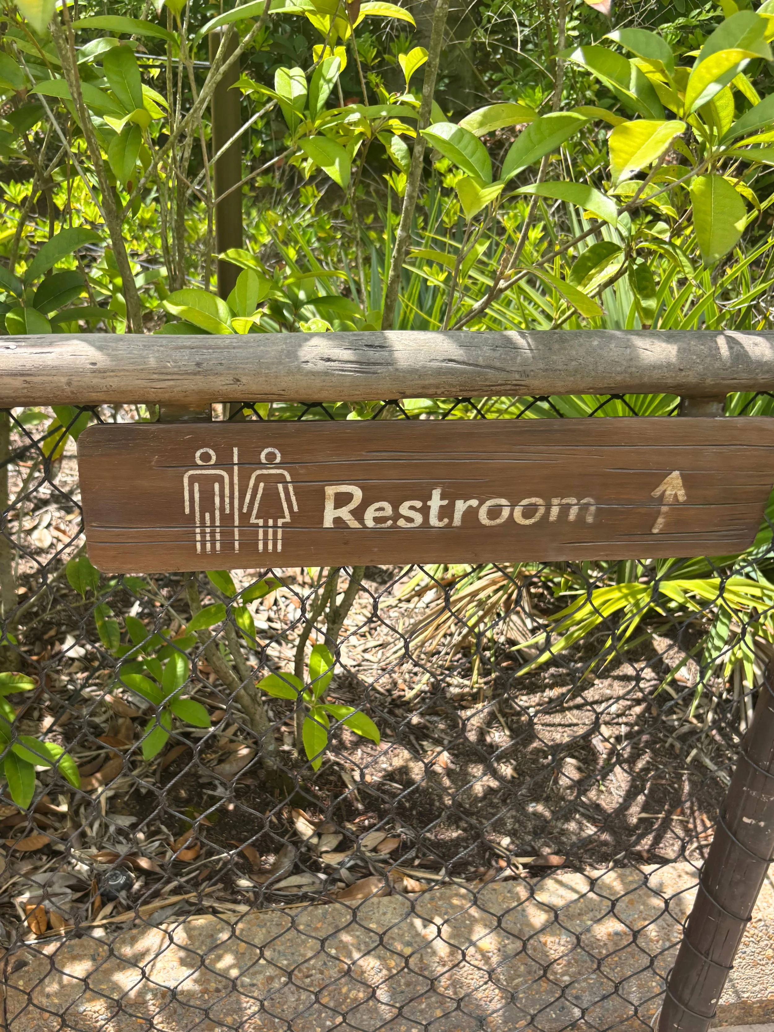 moana rectangle sign.jpg