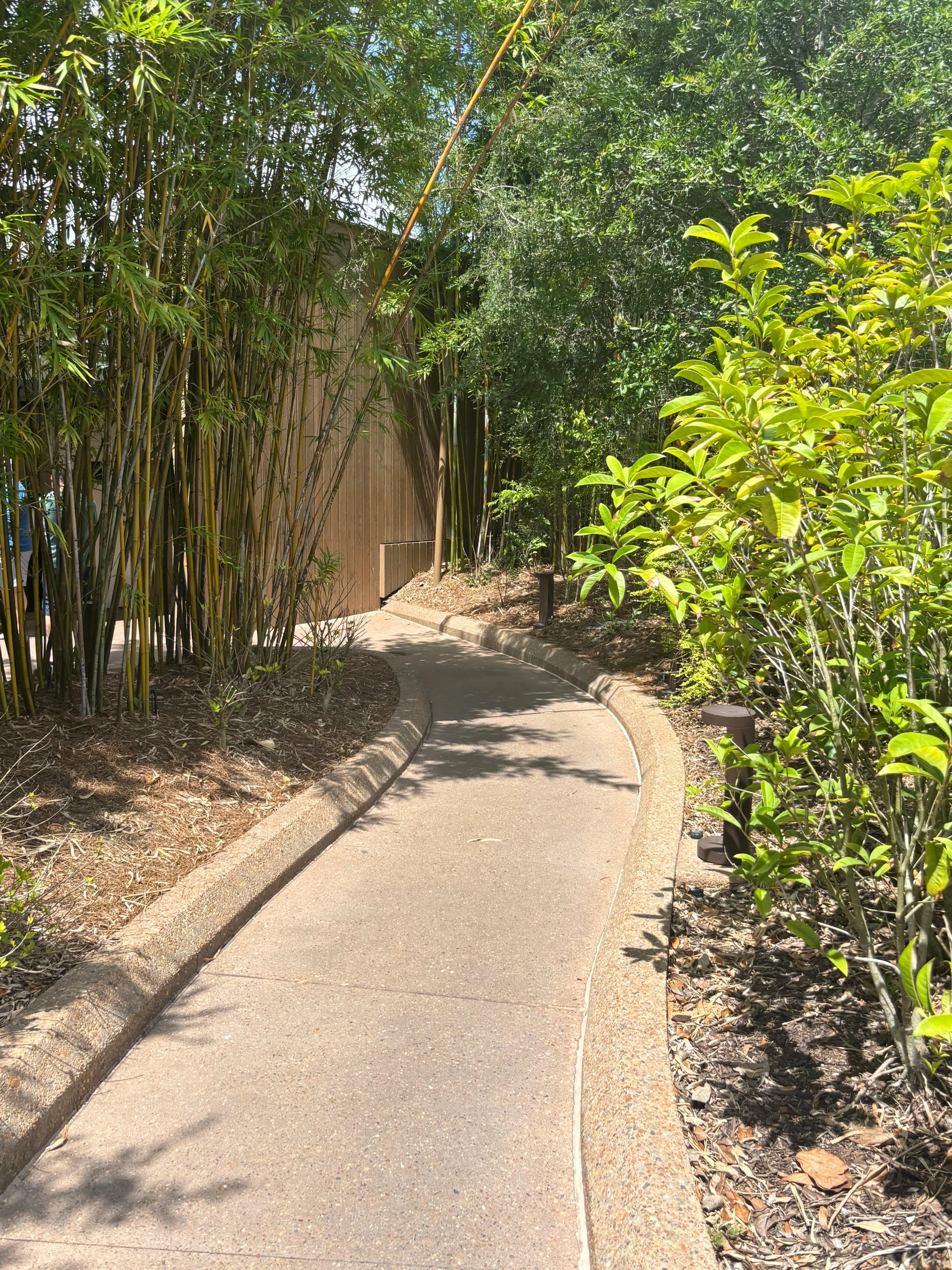 mona path to bathroom.jpg