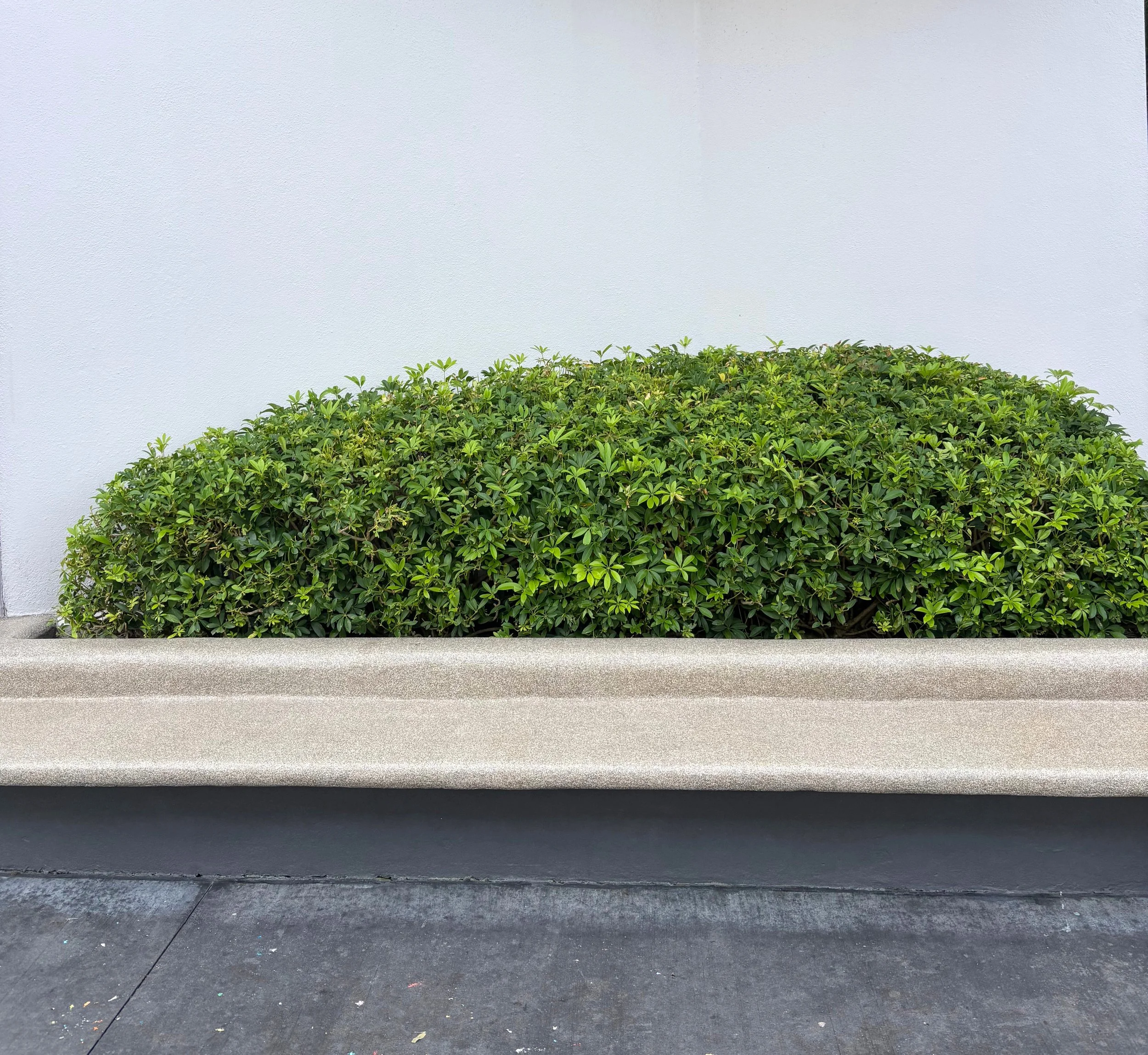 space outside bench.jpg