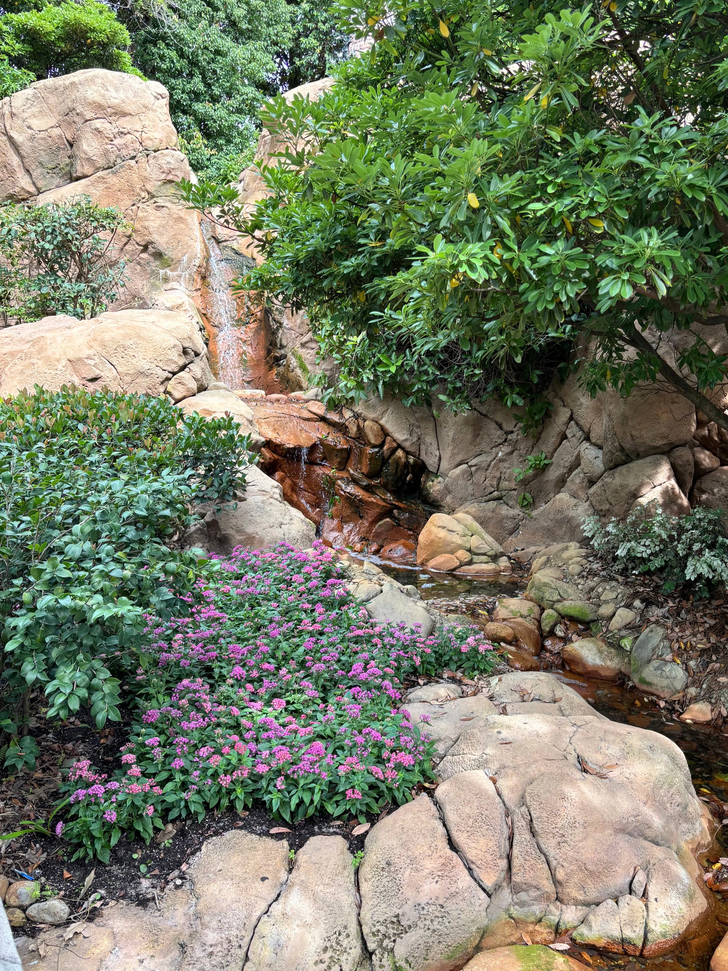 tangled stream with flowers.jpg