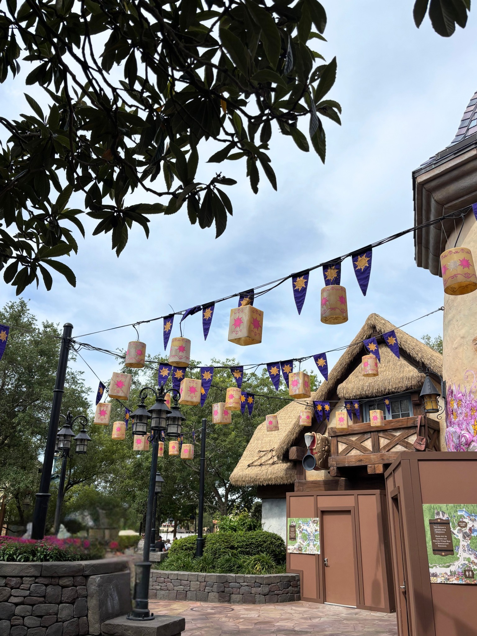tangled edited picture with flags.png