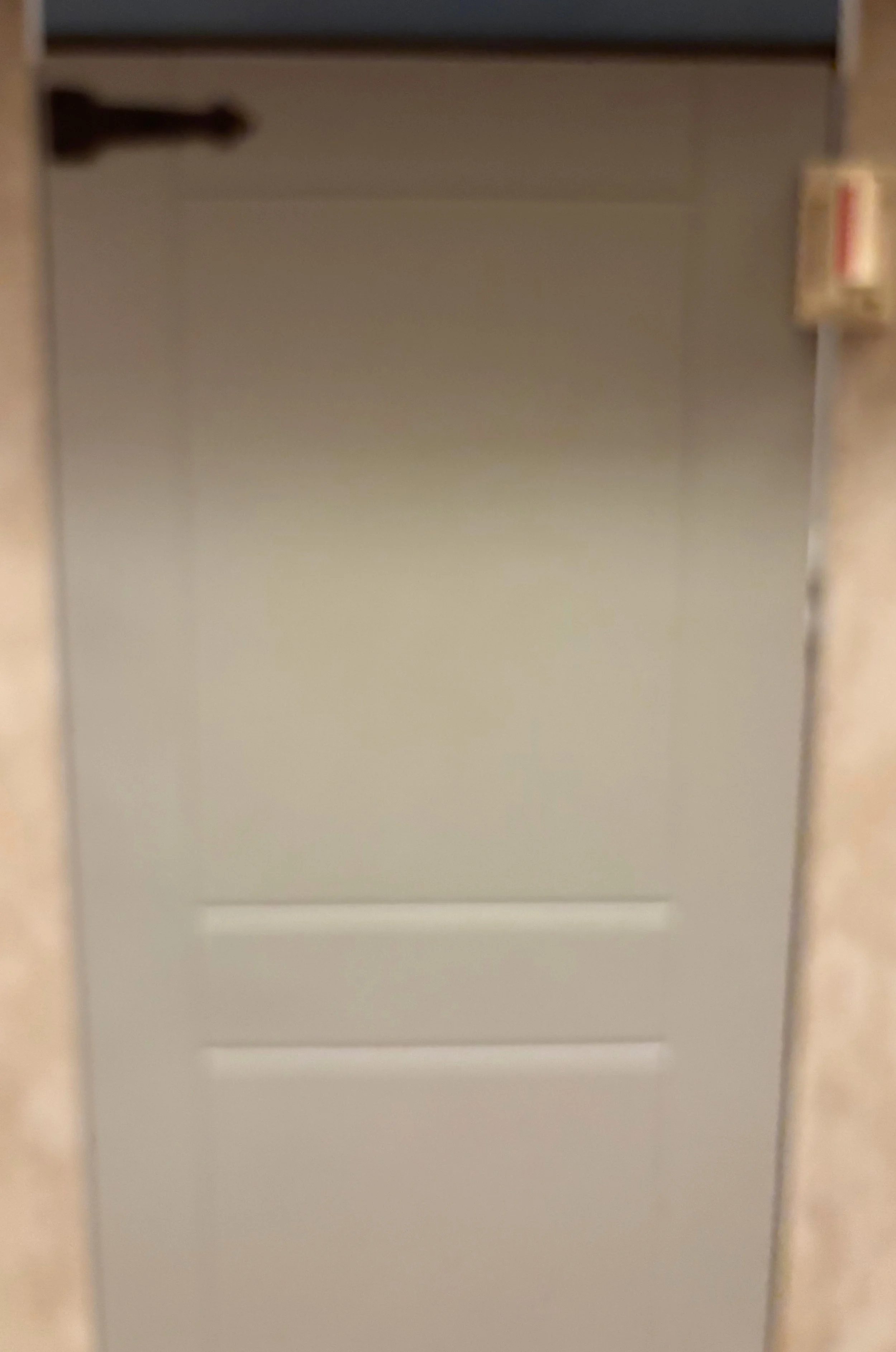 bayou door 2.jpg