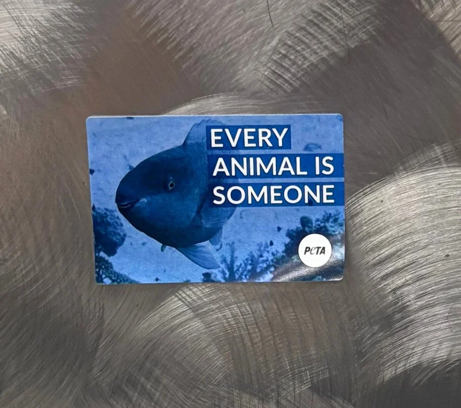 ttc peta 1.jpg