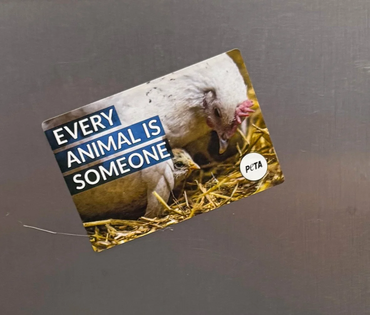 ttc peta 2.jpg
