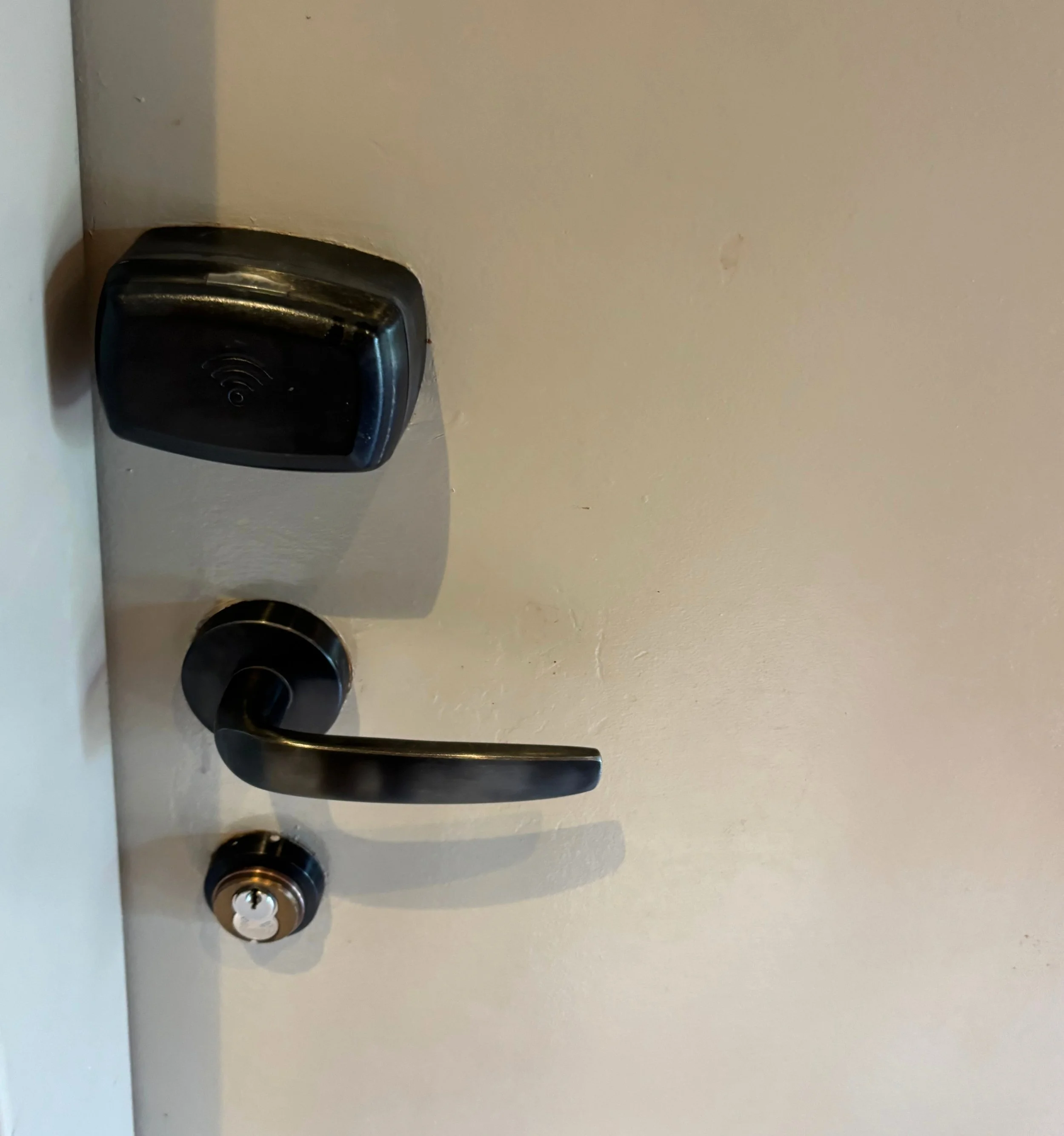 poly dvc outside handle.jpg
