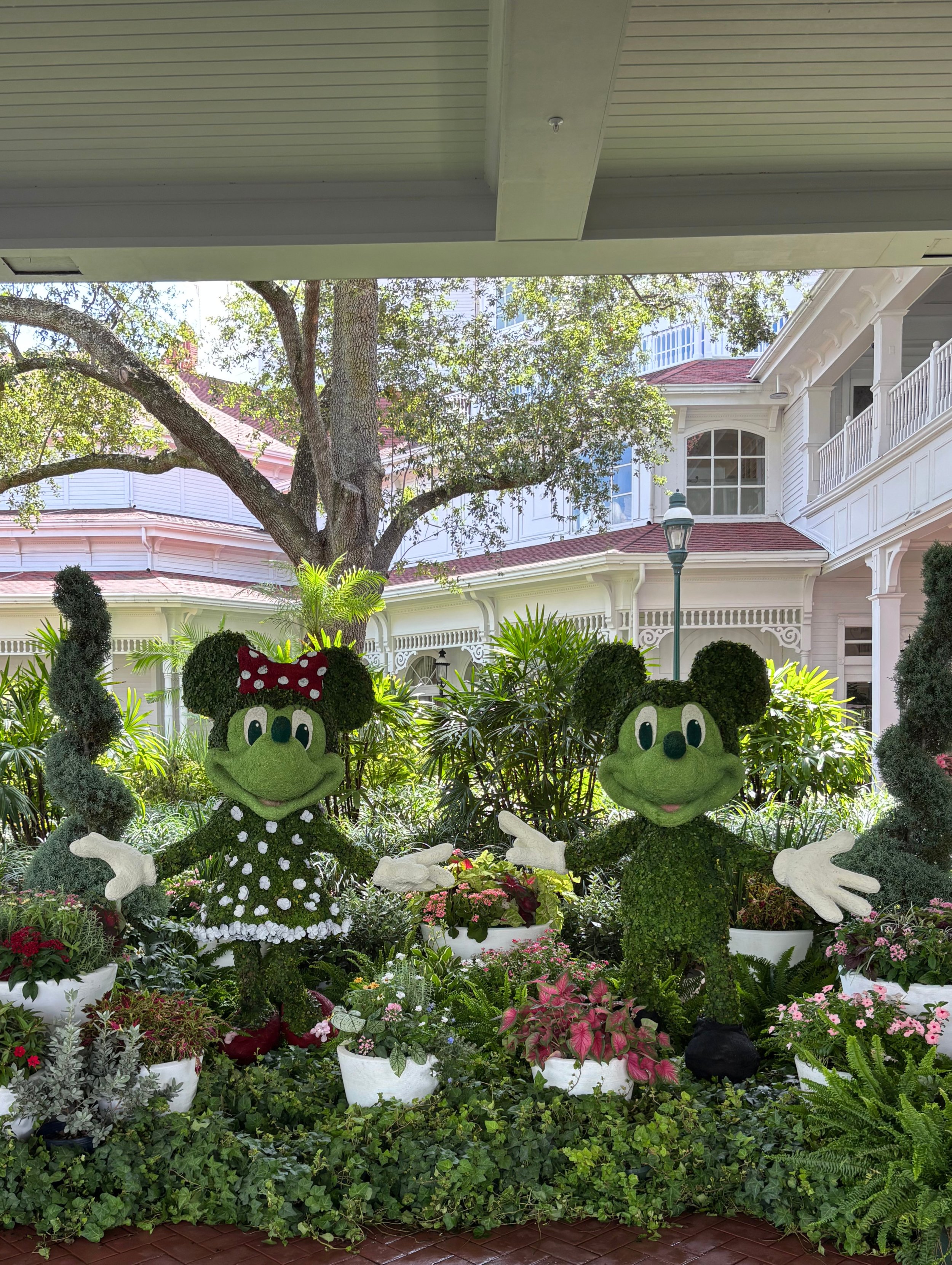 gf plant mickey and minnie.jpg