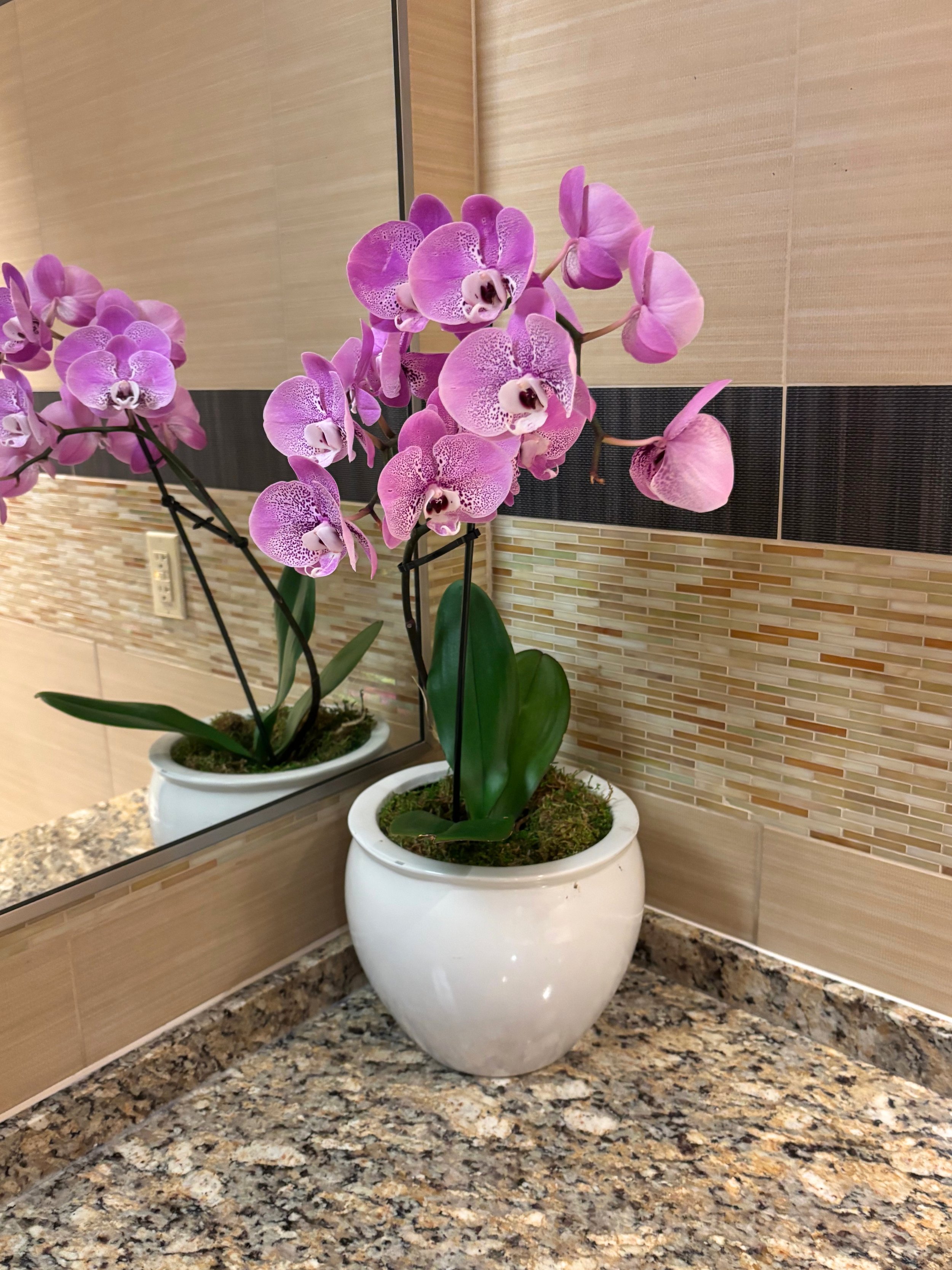 cont downstairs flower.jpg