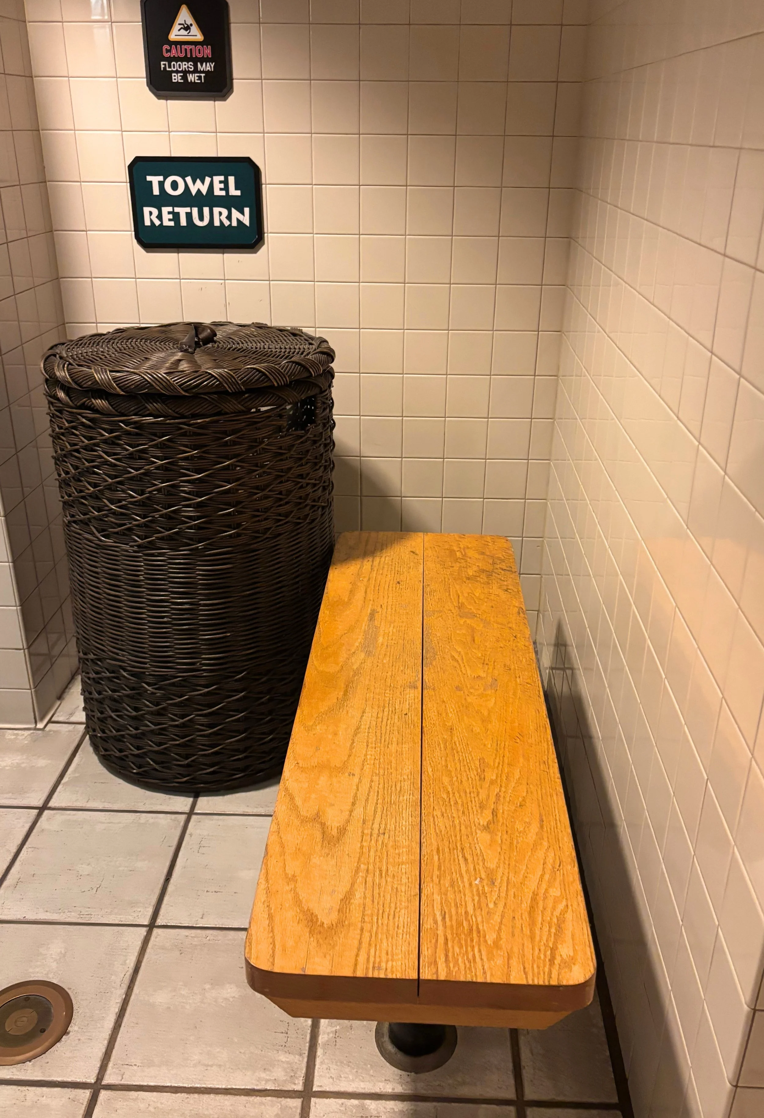 wild under bench inside.jpg