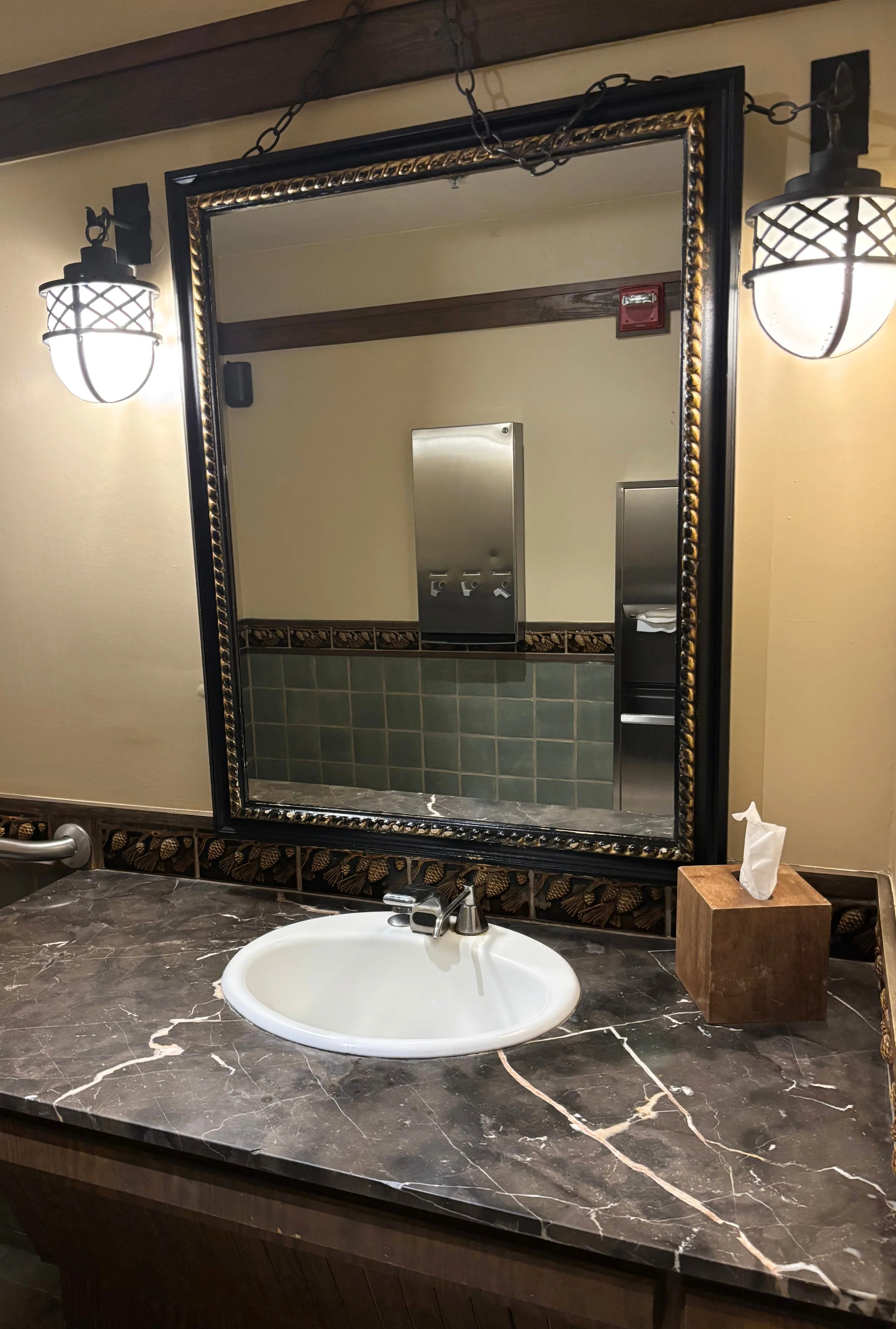 wild dvc sink.jpg