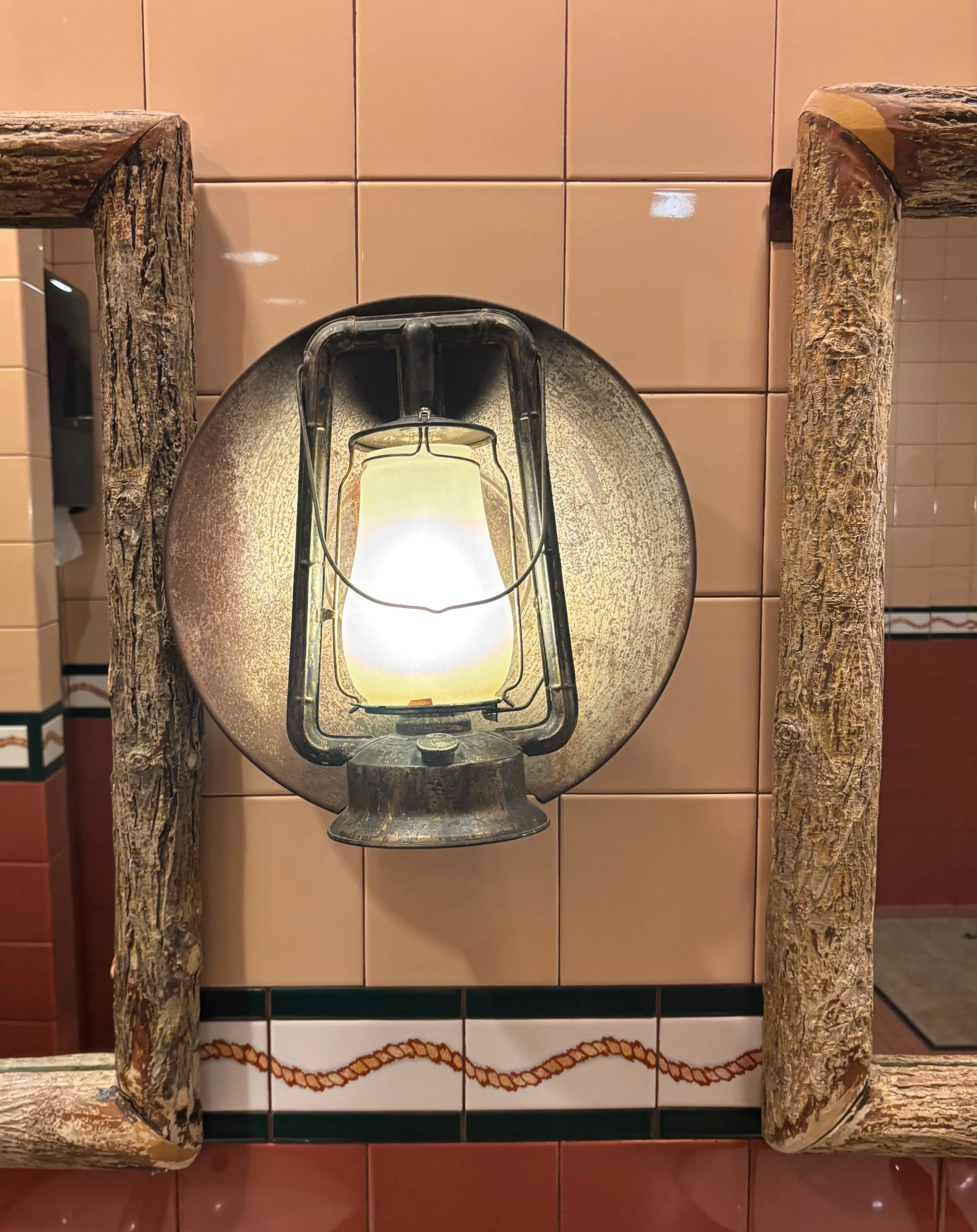 ft pin light fixture.jpg