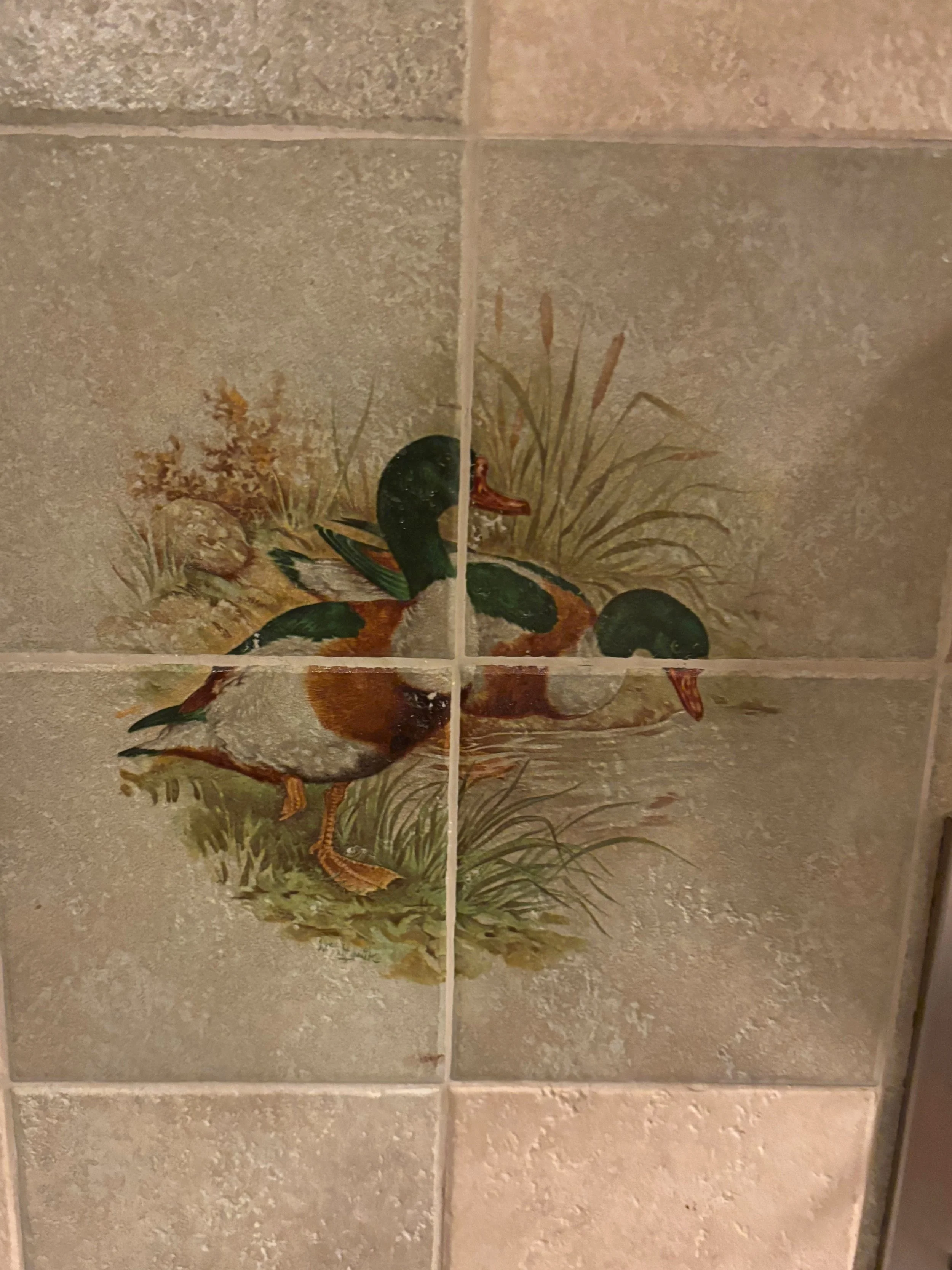 ft trade ducks.jpg