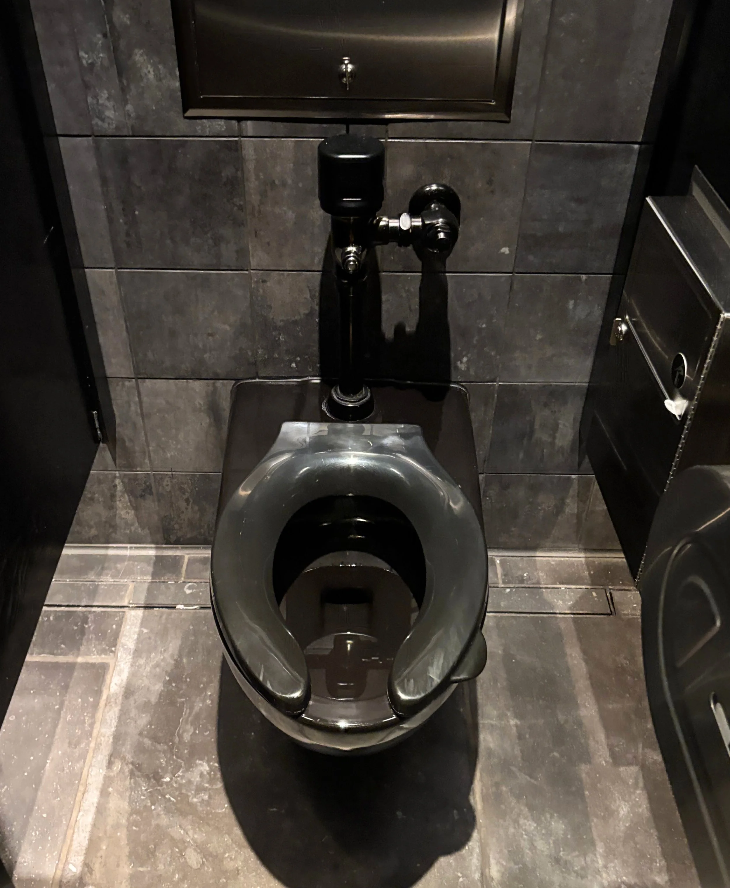 epic dark toilet.jpg