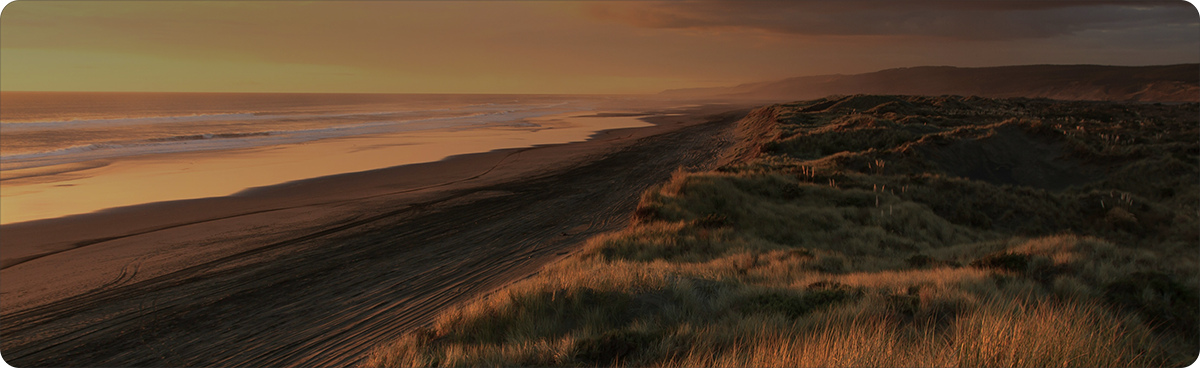 Sunset over a sandy beach with grassy dunes and ocean waves in the background.