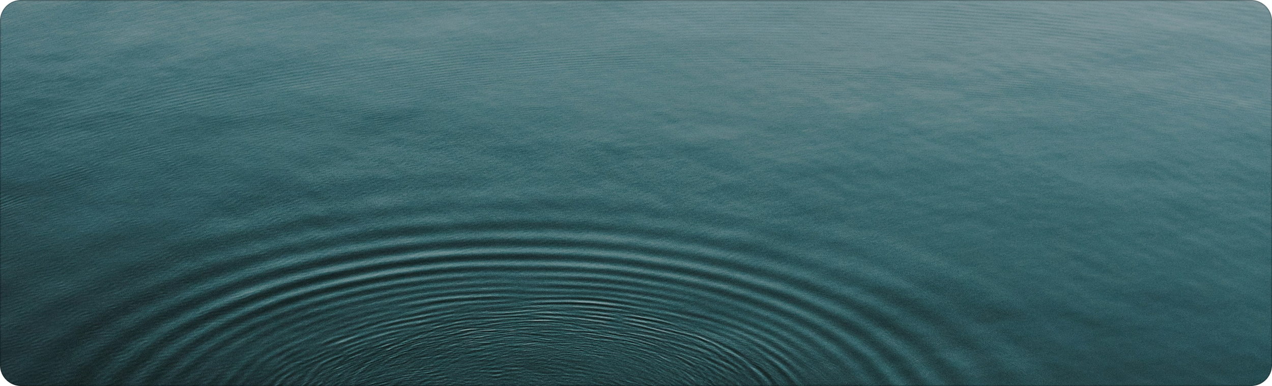 Close-up of a body of water with concentric ripples emanating from a central point.