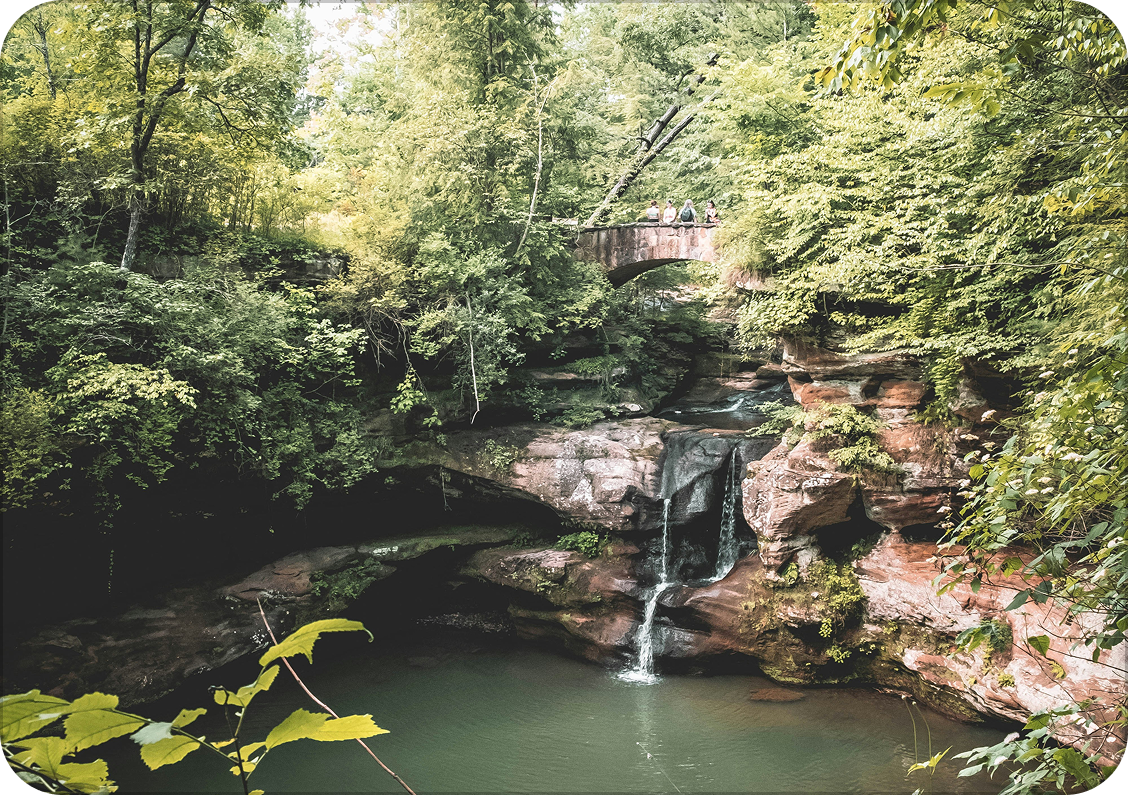 A scenic view of a lush green forest with a small waterfall flowing into a pool of water below. A bridge with people on it spans over the creek.