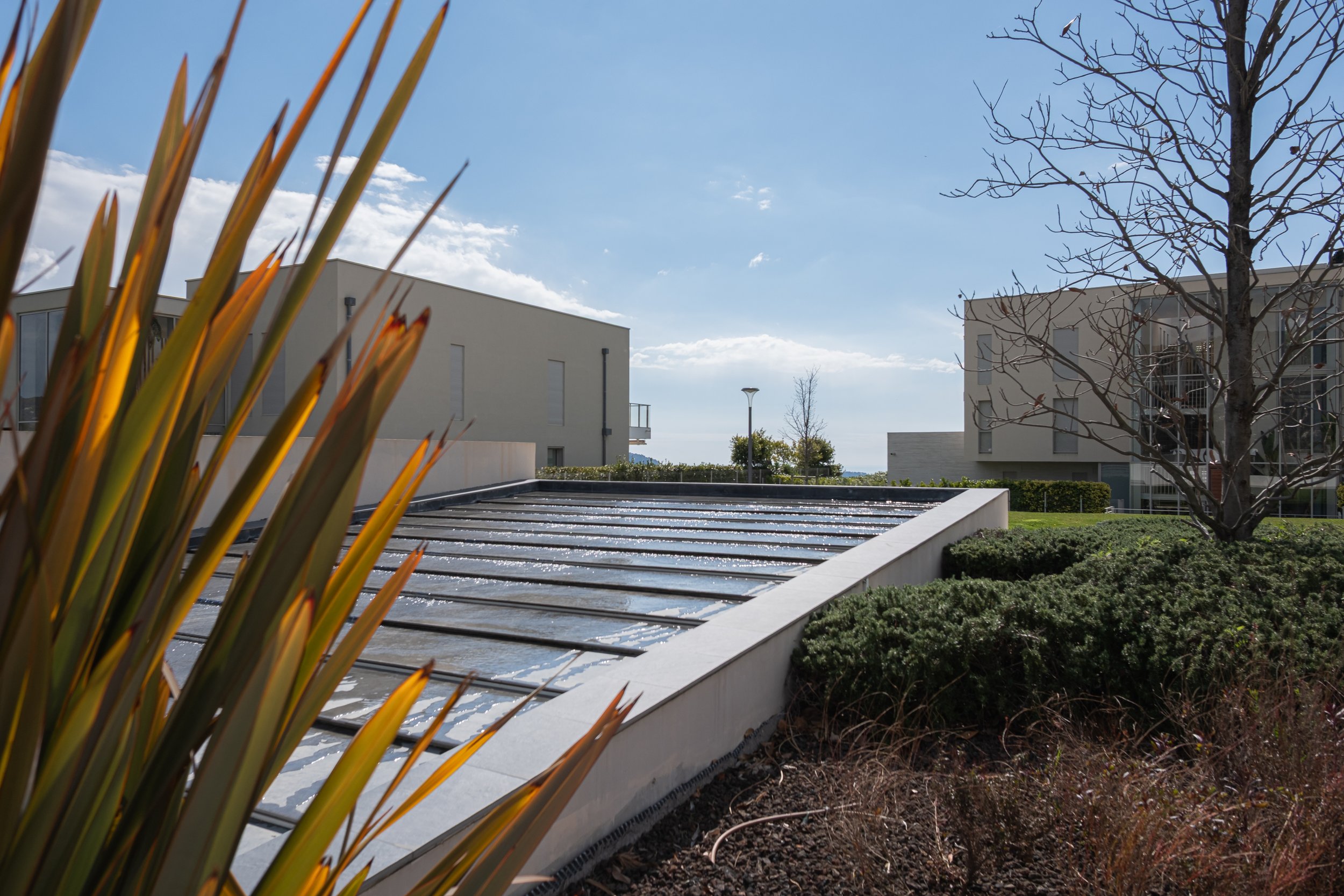 Photographie immobilière d'extérieur mettant en avant la fontaine, la végétation et la superficie du domaine.