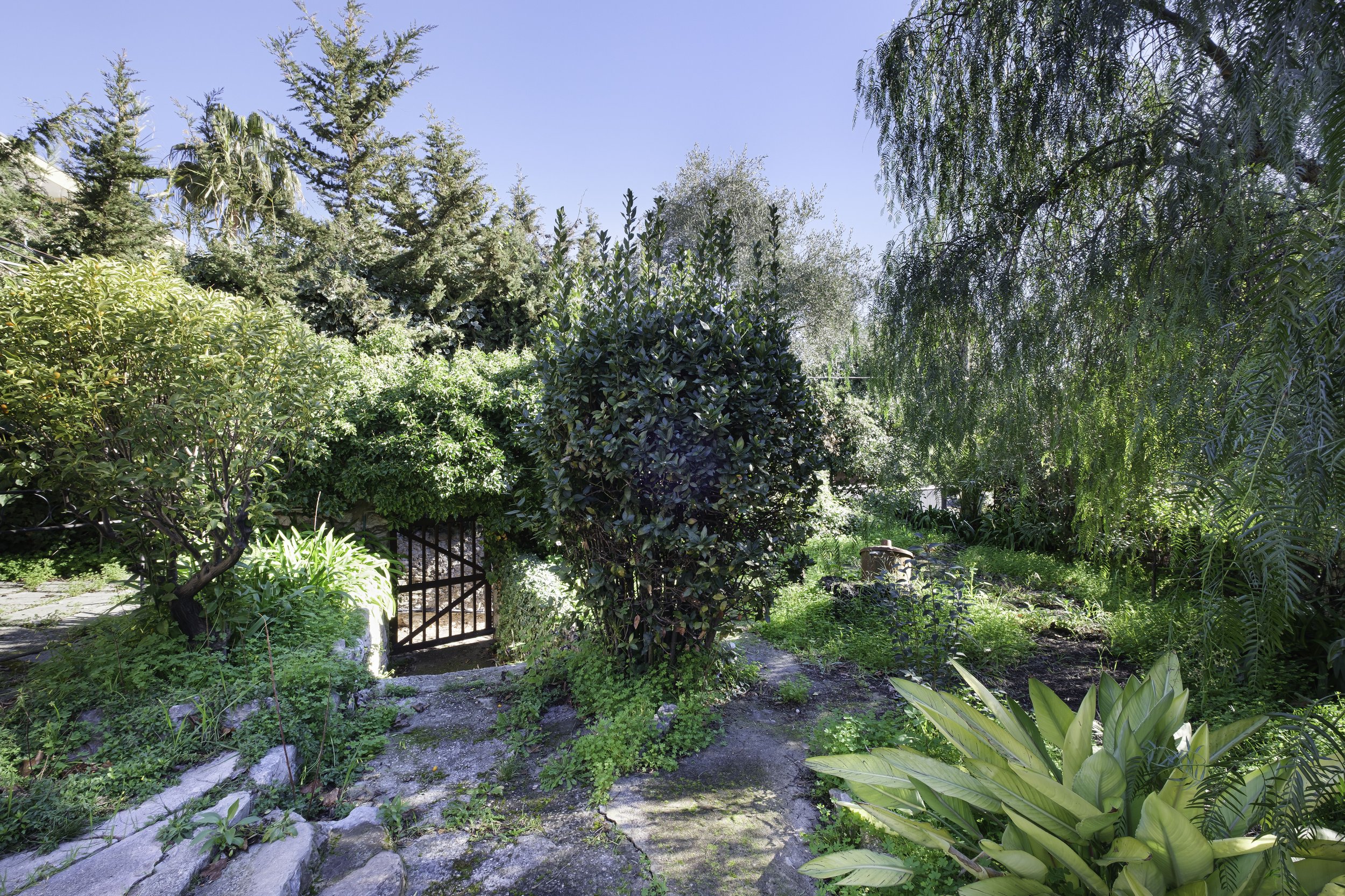 Photographie immobilière mettant en avant la luminosité et le potentiel du bien