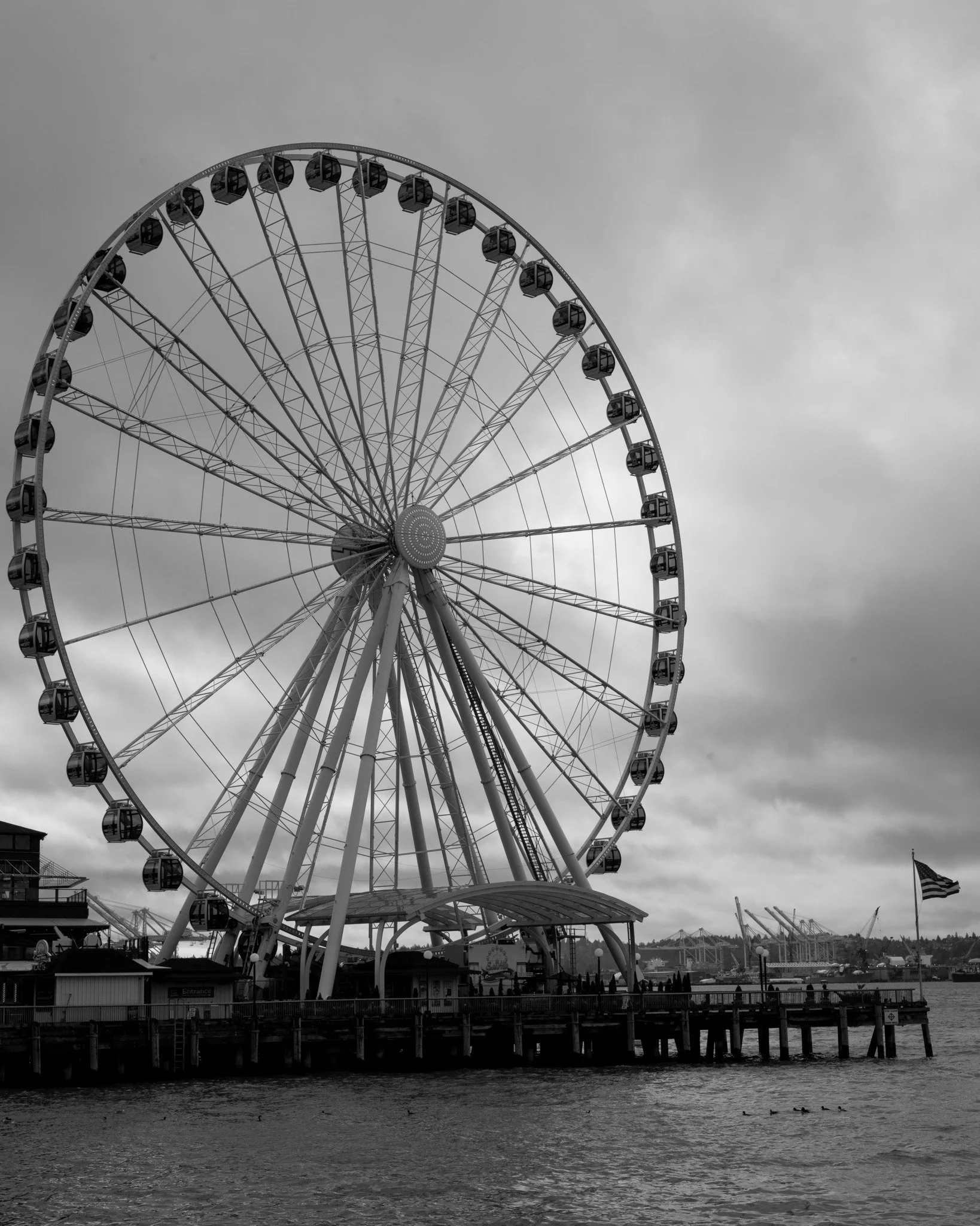 DSC_1013.jpg