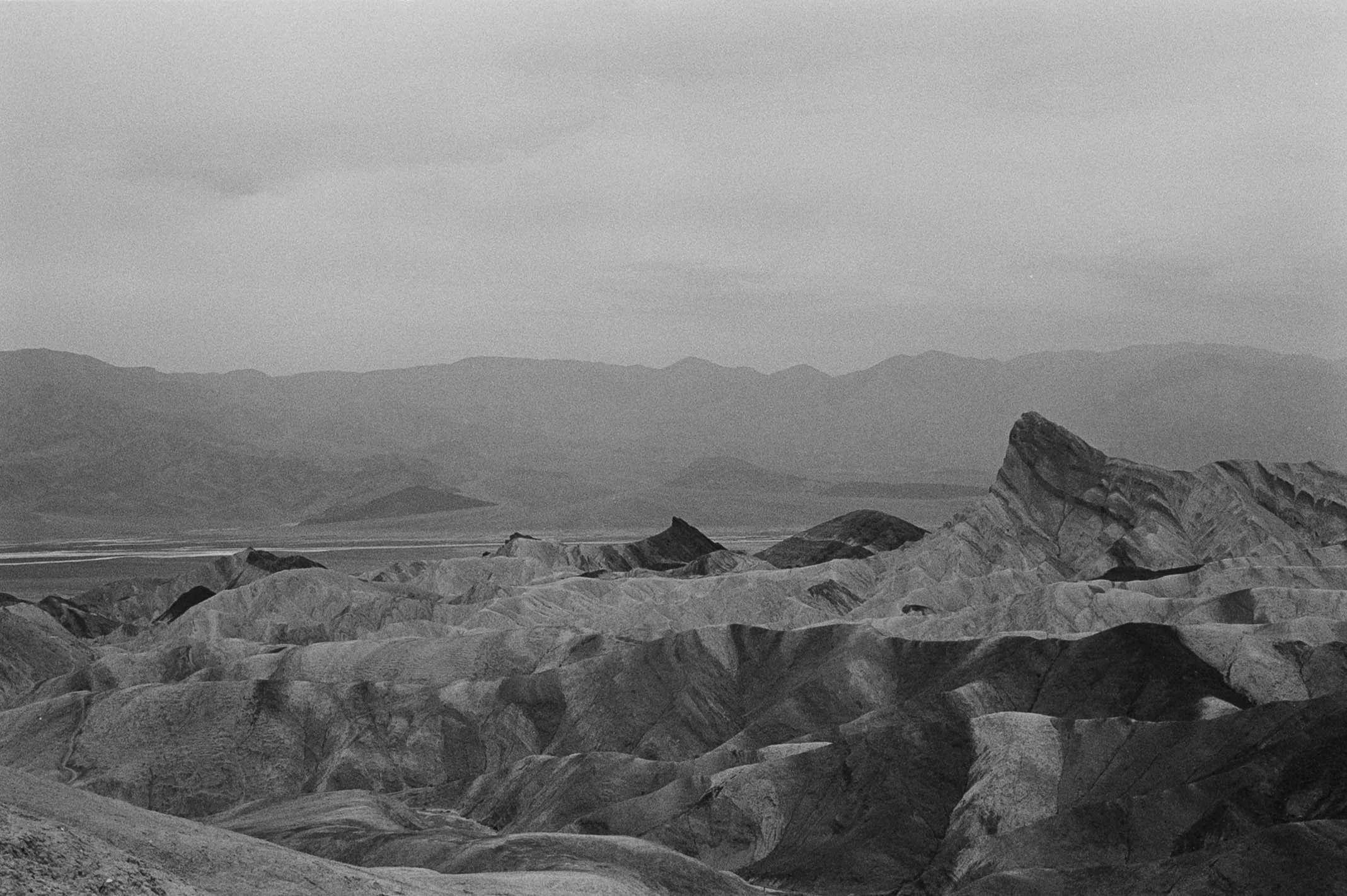 B&W_Negatives_BM_2-341.jpg