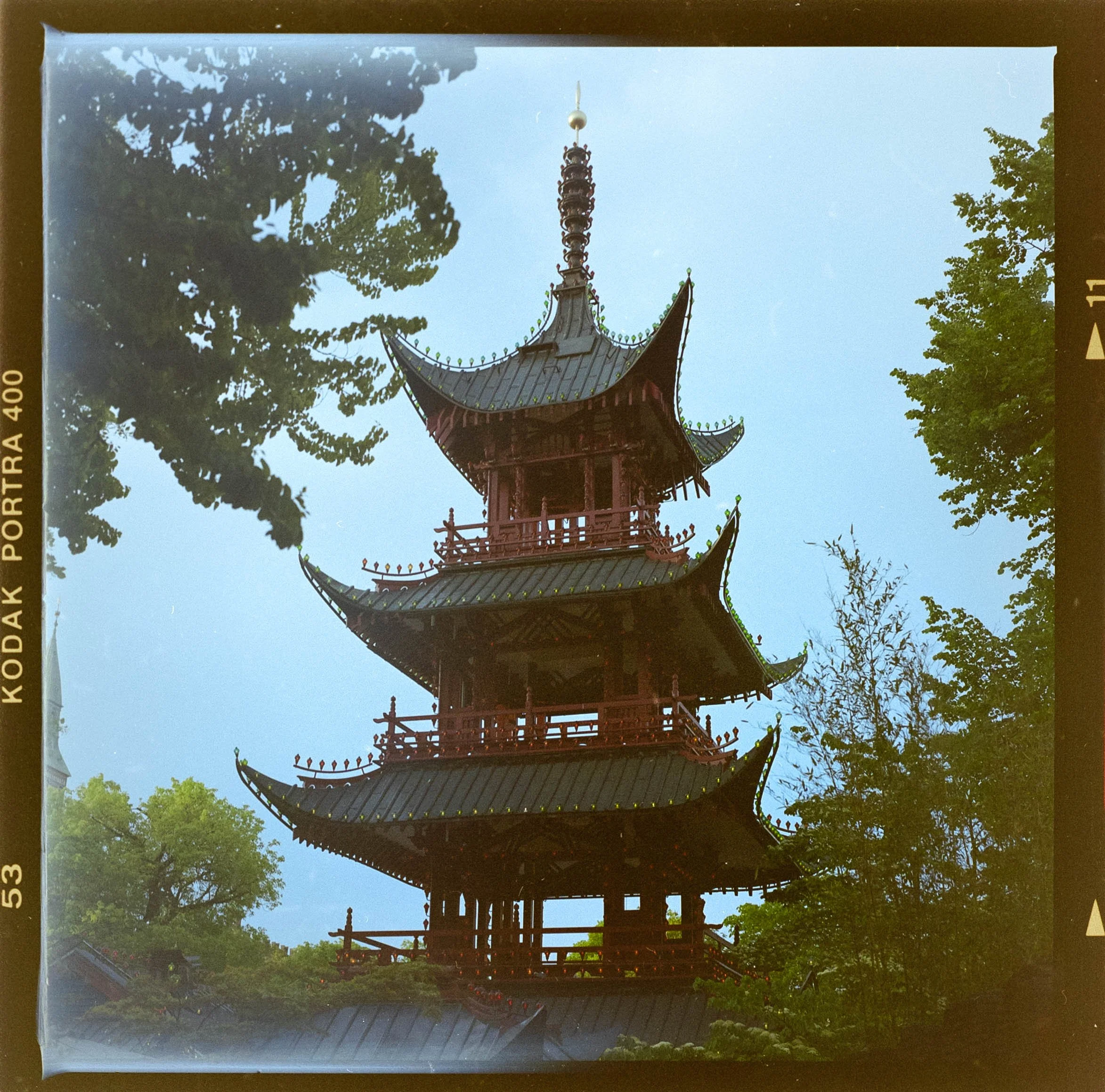 Medium_Fromat_Color-003.jpg