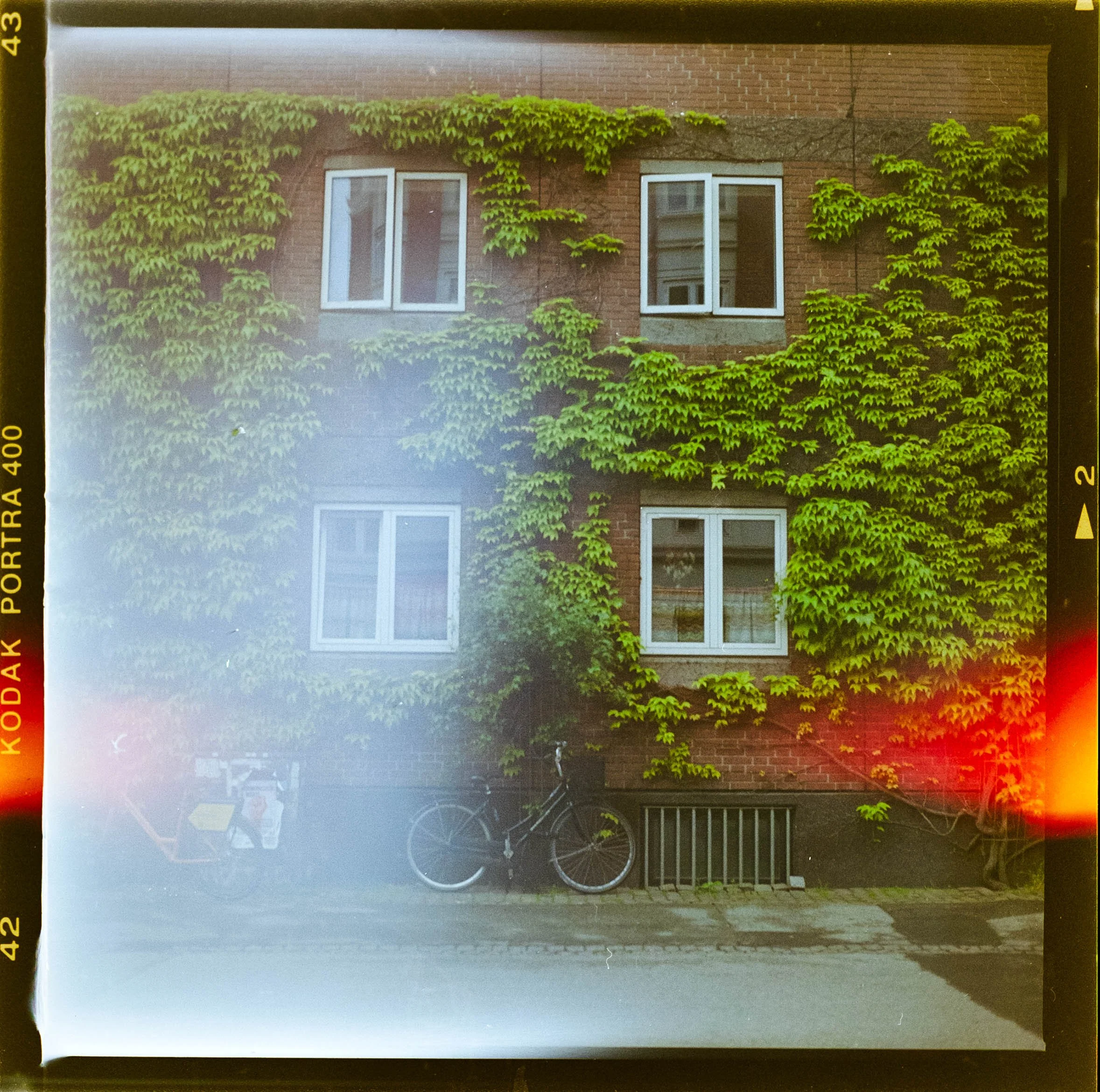 Medium_Fromat_Color-012.jpg