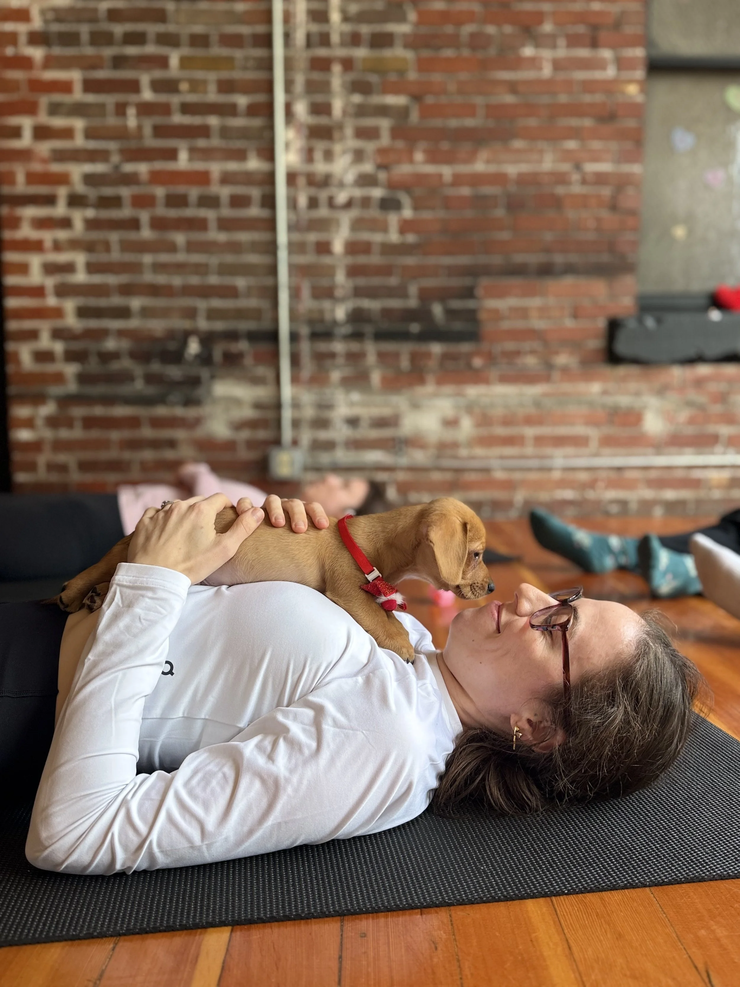 VIP clients and referrals playing with puppies during Puppy Yoga 2026 in Portland, OR