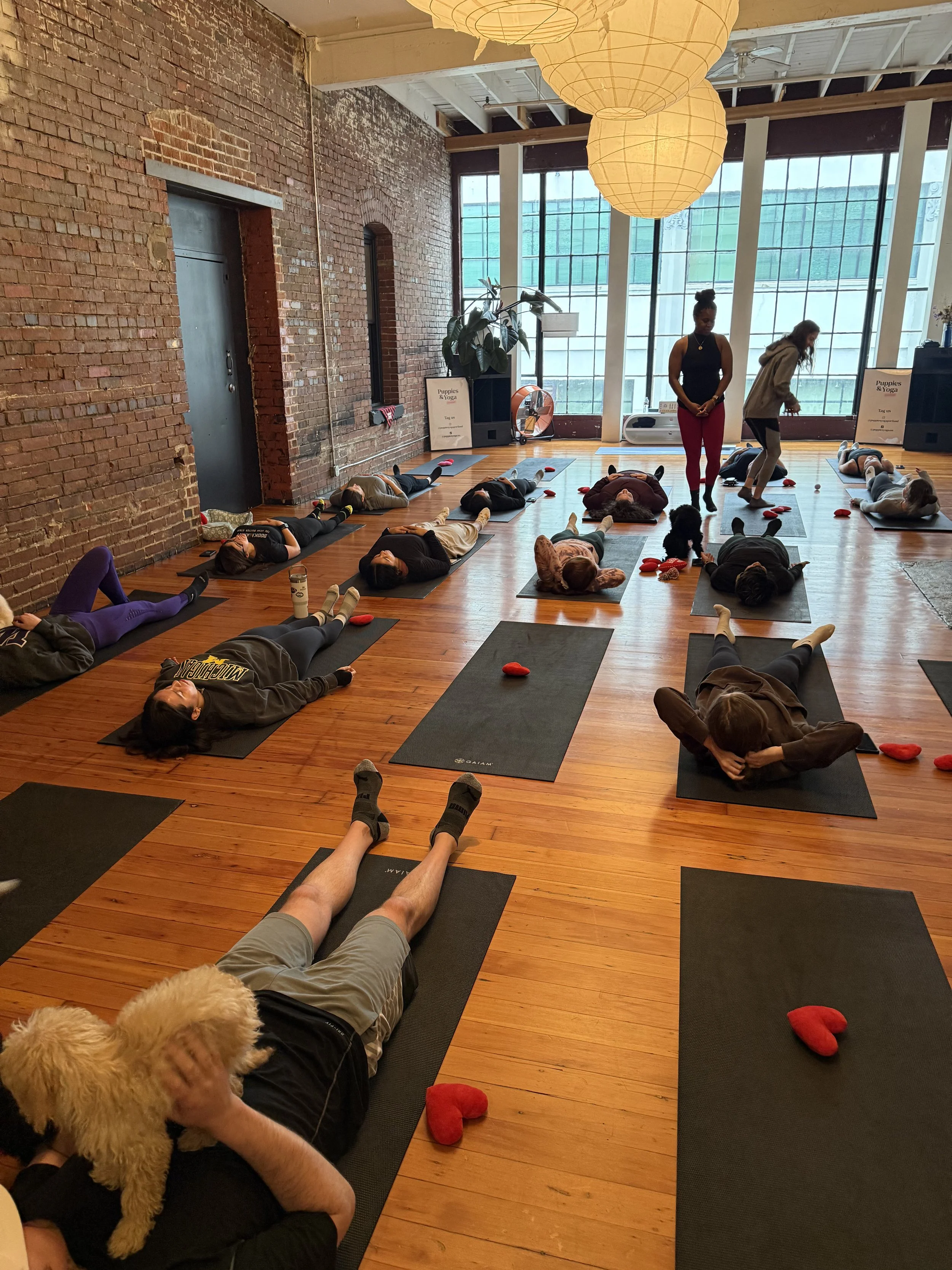 Participants enjoying the fun and playful atmosphere at Puppy Yoga 2025 VIP event in Portland, OR