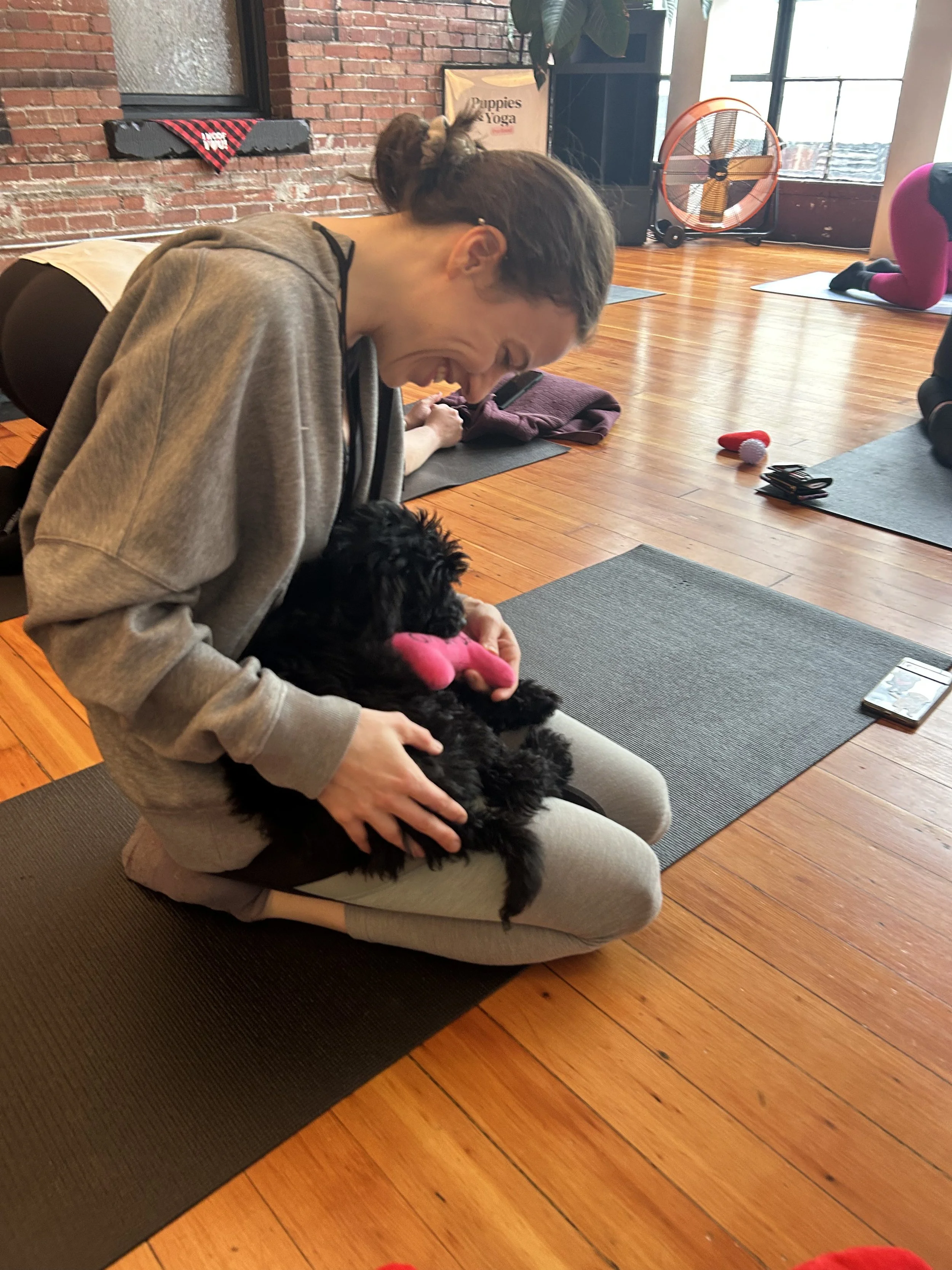 VIP clients interacting with puppies during Puppy Yoga 2025 in Portland, OR