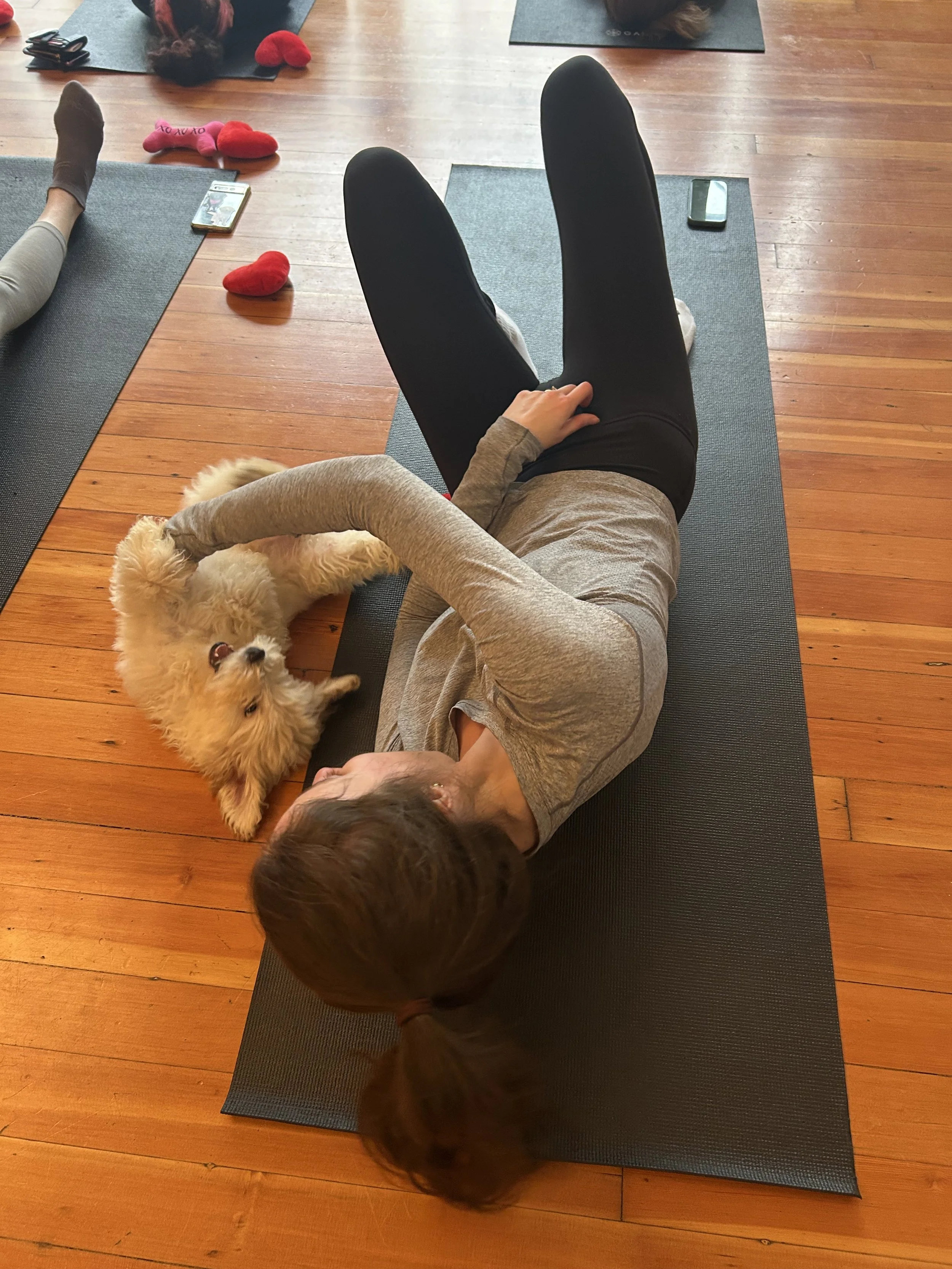 Happy VIP clients interacting with puppies during Puppy Yoga 2025 in Portland, OR
