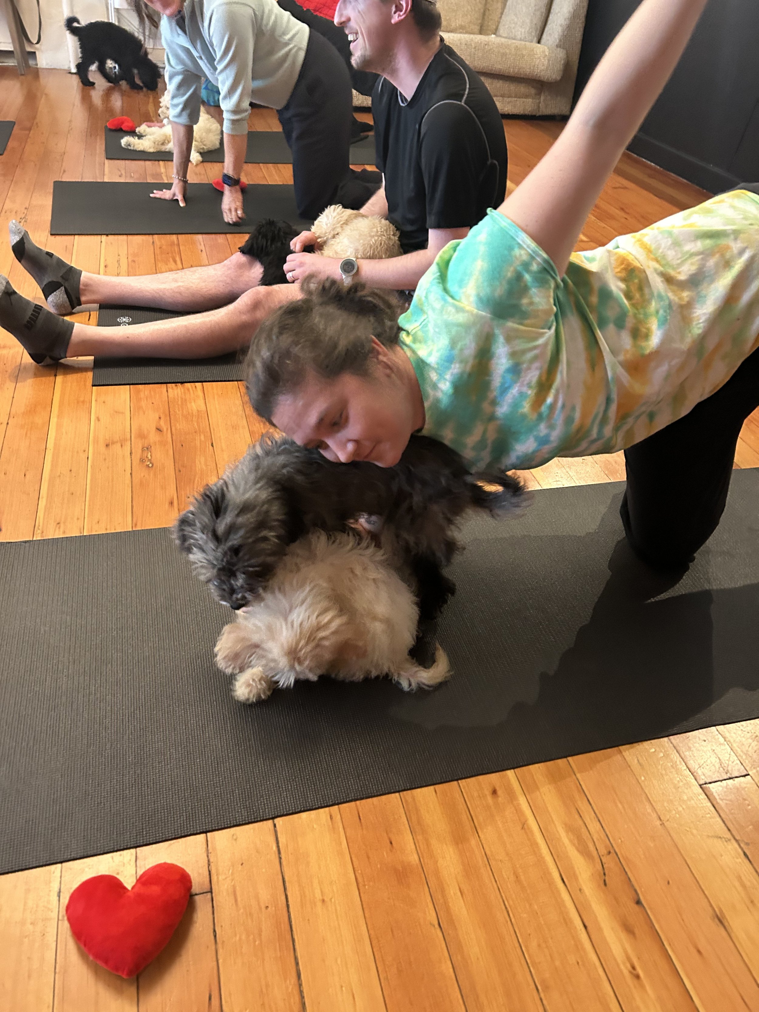 VIP clients and referrals laughing and playing with puppies during Puppy Yoga 2025 in Portland, OR