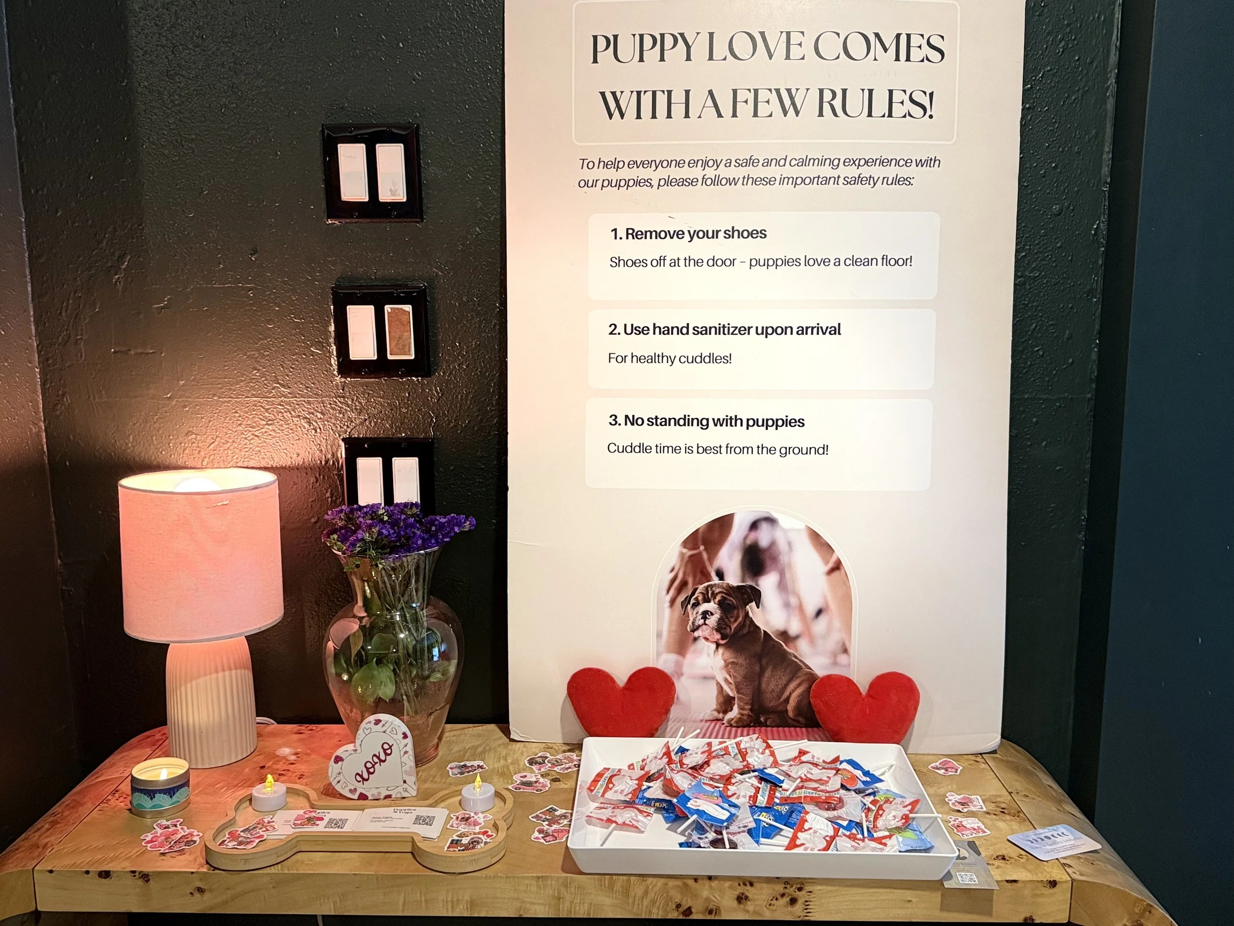 gifts during Puppy Yoga 2026 VIP client event in Portland, OR