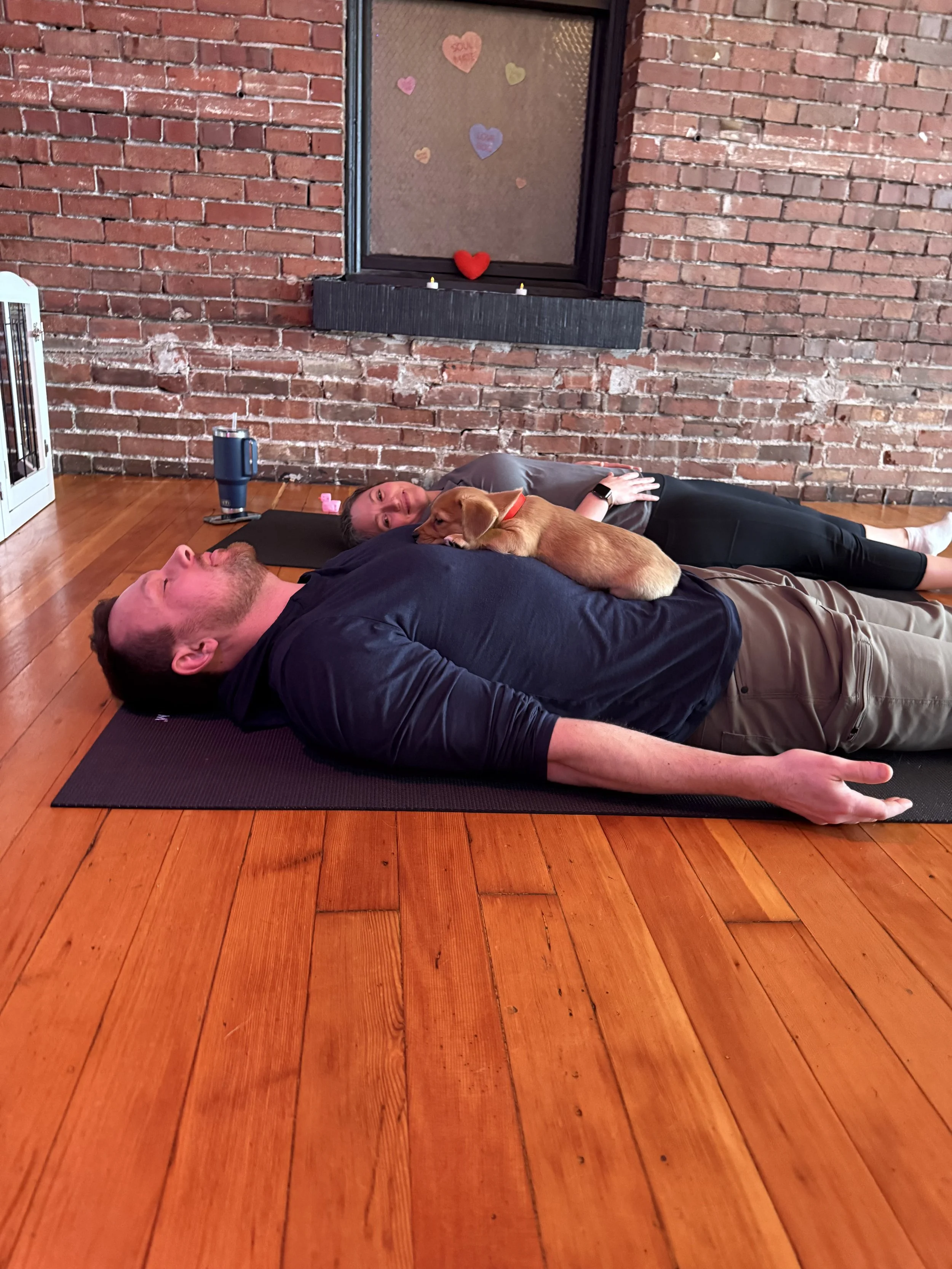 VIP clients and referrals enjoying Puppy Yoga 2026 with puppies in Portland, OR