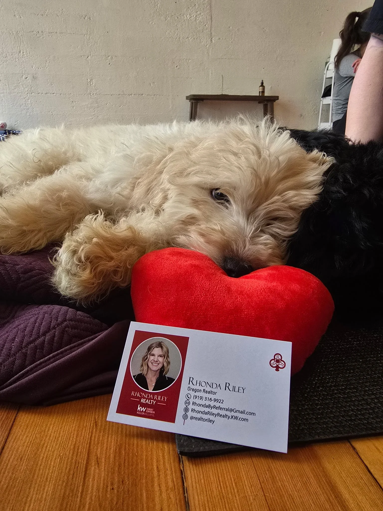 Puppies resting during Puppy Yoga 2025 VIP client event in Portland, OR there is a business card