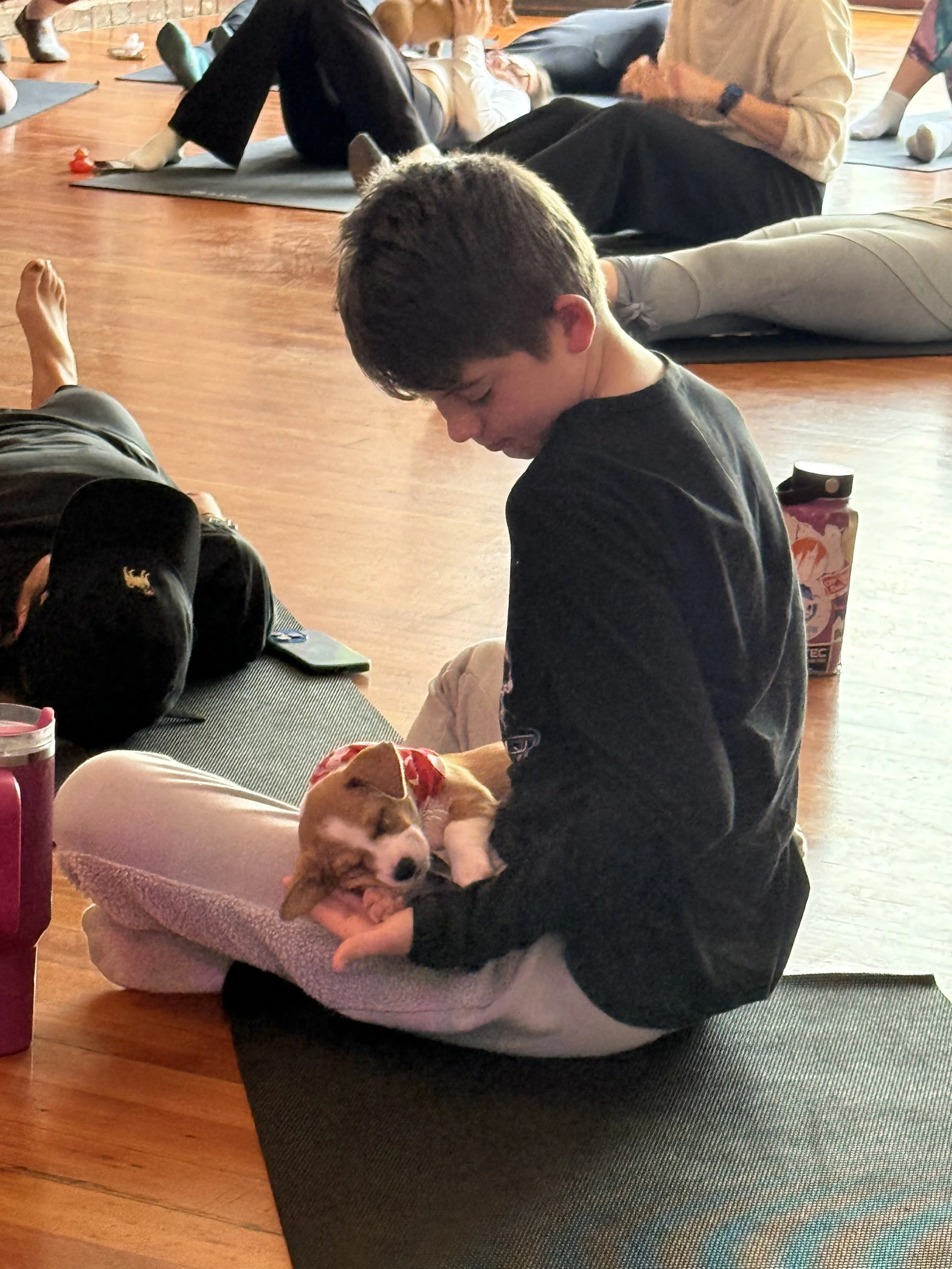 VIP clients and referrals enjoying Puppy Yoga 2026 with puppies in Portland, OR
