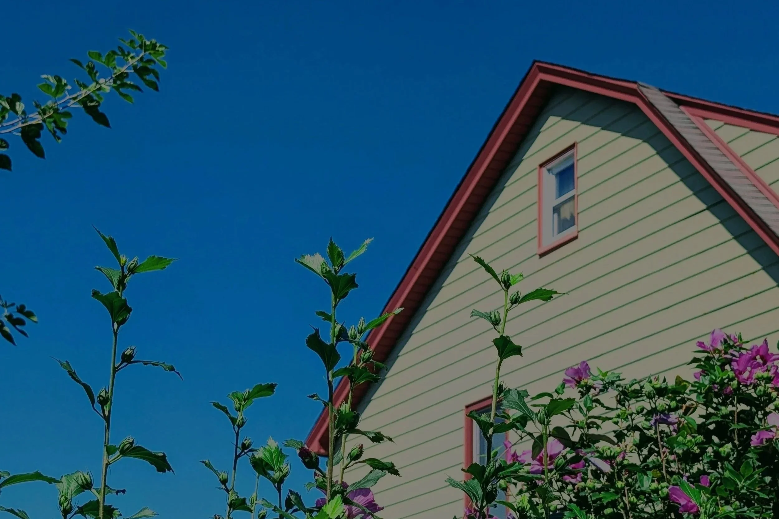 Move in ready home interior in Beaverton Oregon attracting summer buyers