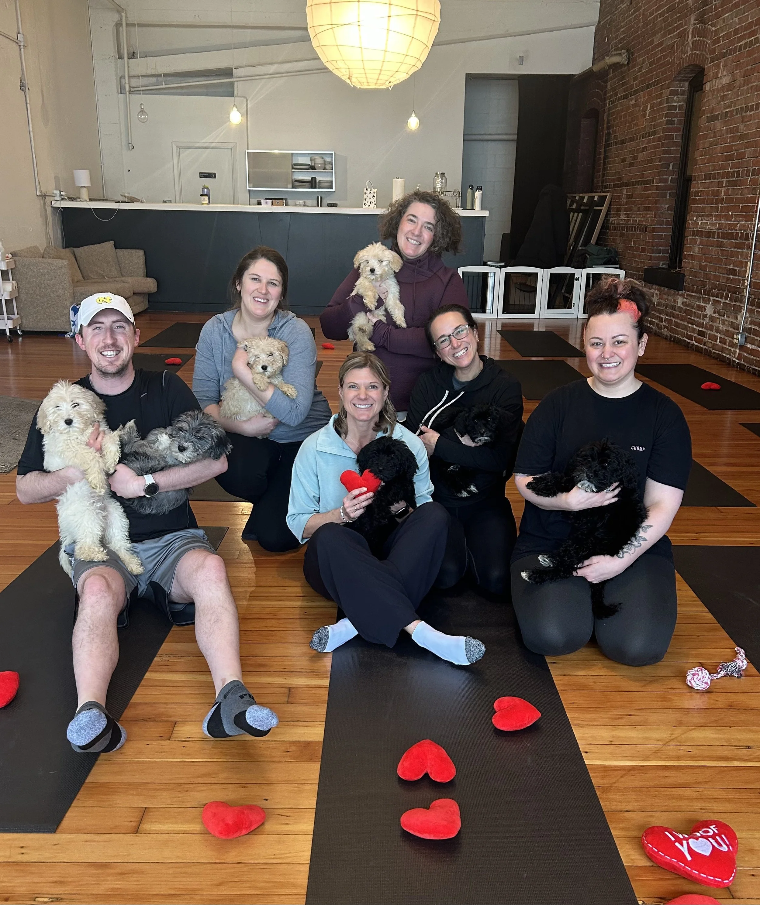 Puppy Yoga 2025