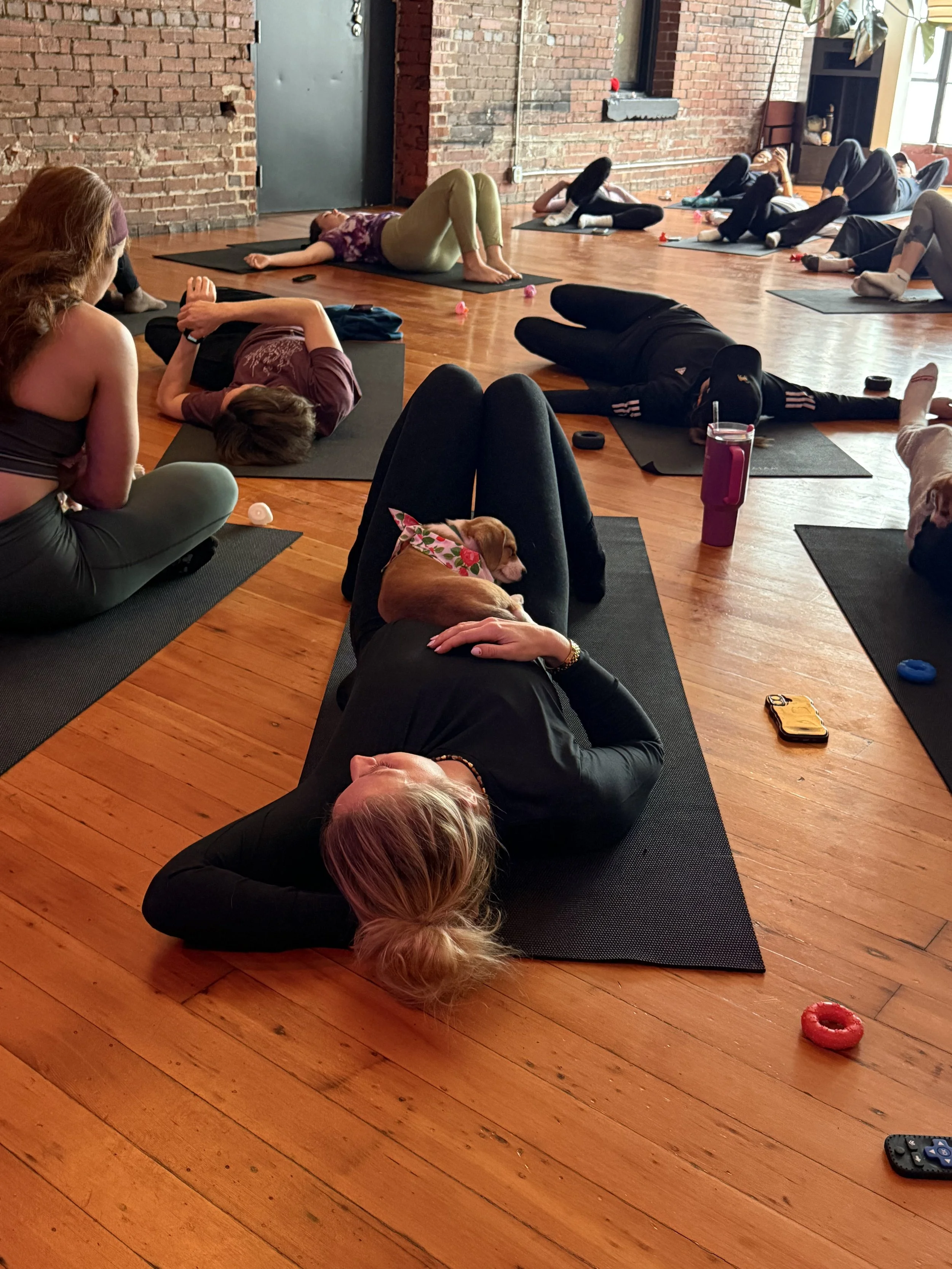 Group of VIP clients stretching and laughing with puppies during Puppy Yoga 2026 with real estate agent Rhonda Riley in Portland, OR