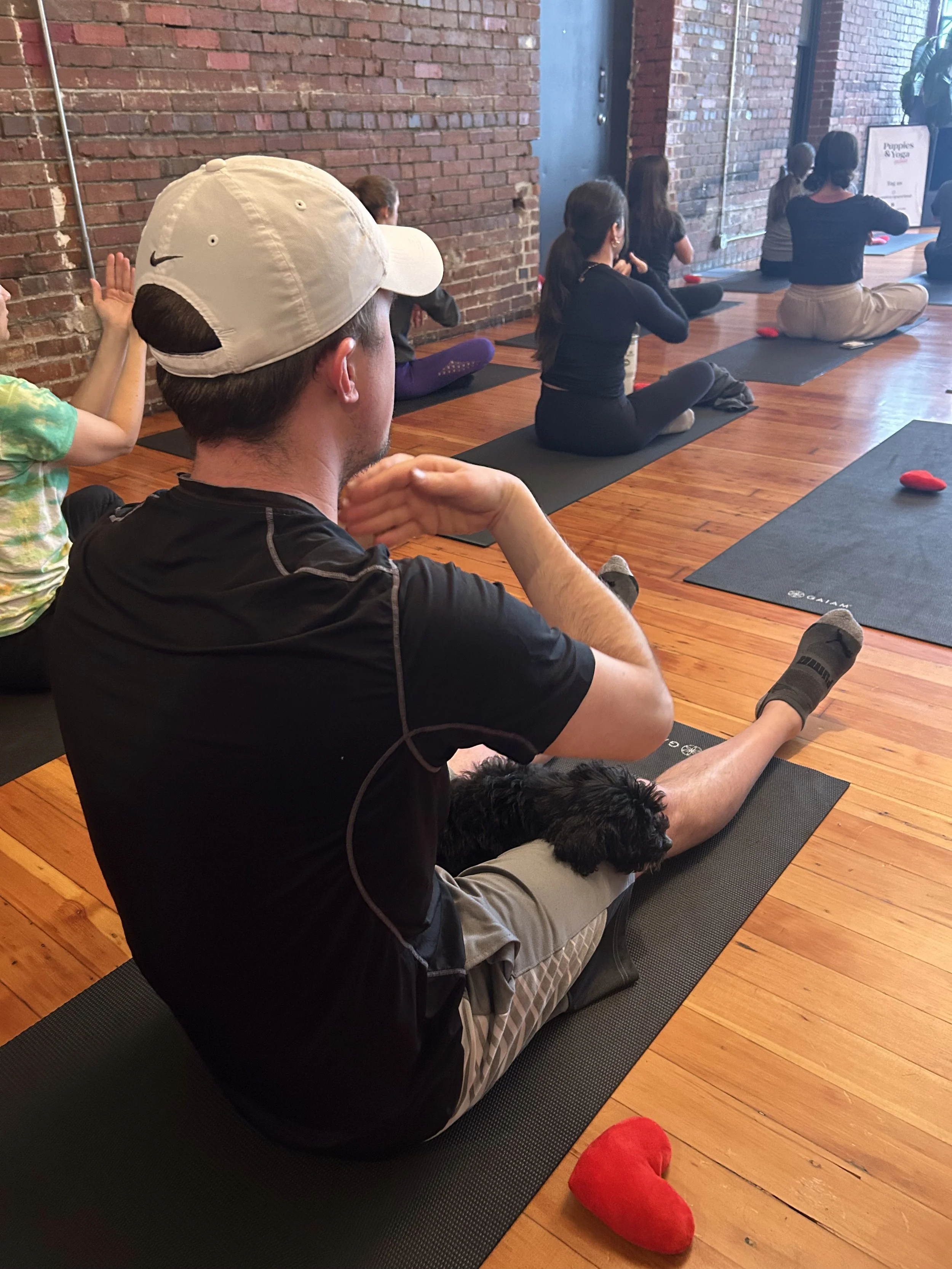  VIP clients having fun and playing with puppies at Puppy Yoga 2025 in Portland, OR