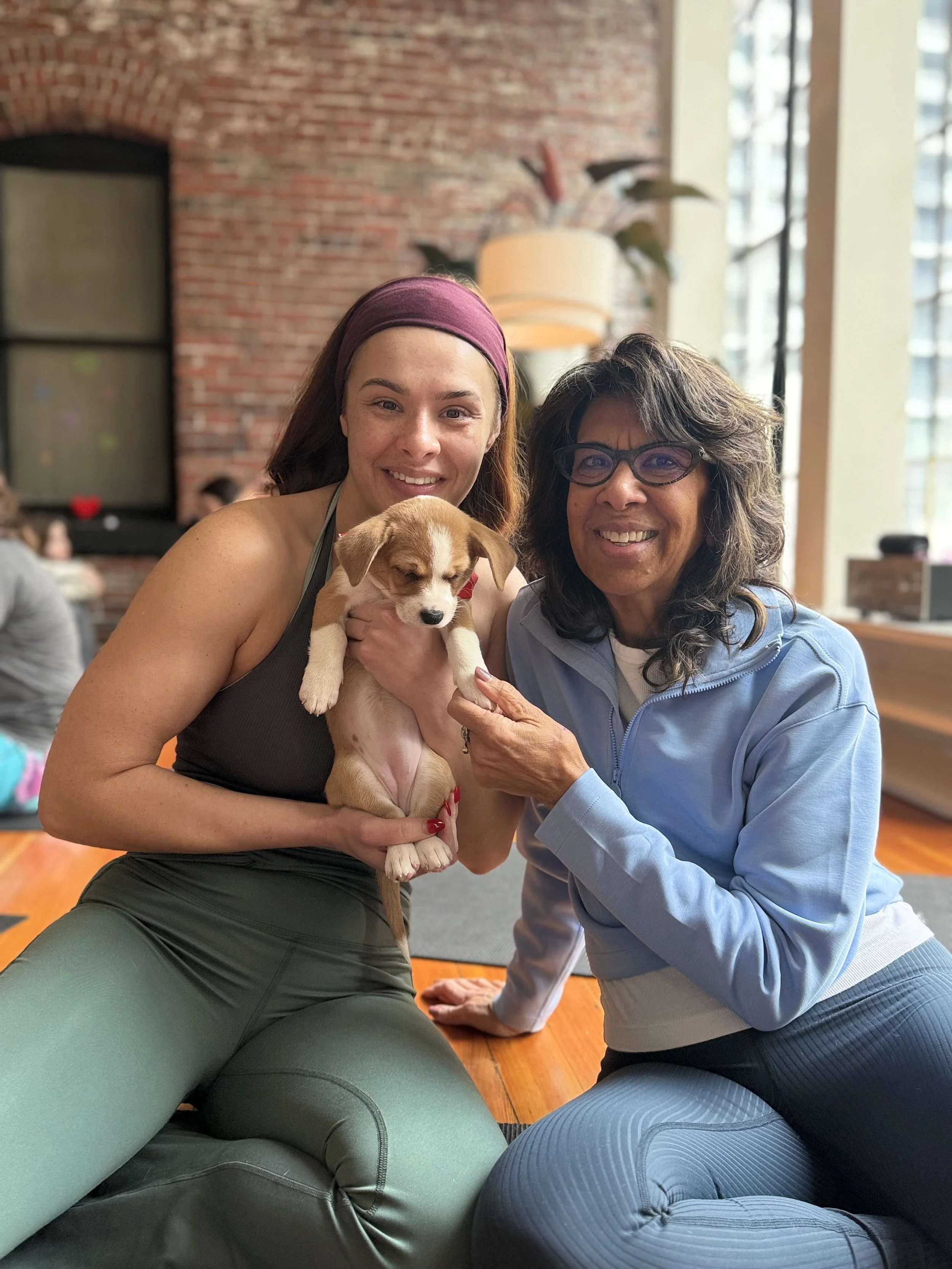 VIP clients and friends interacting with puppies during Puppy Yoga 2026, a community celebration hosted by Rhonda Riley