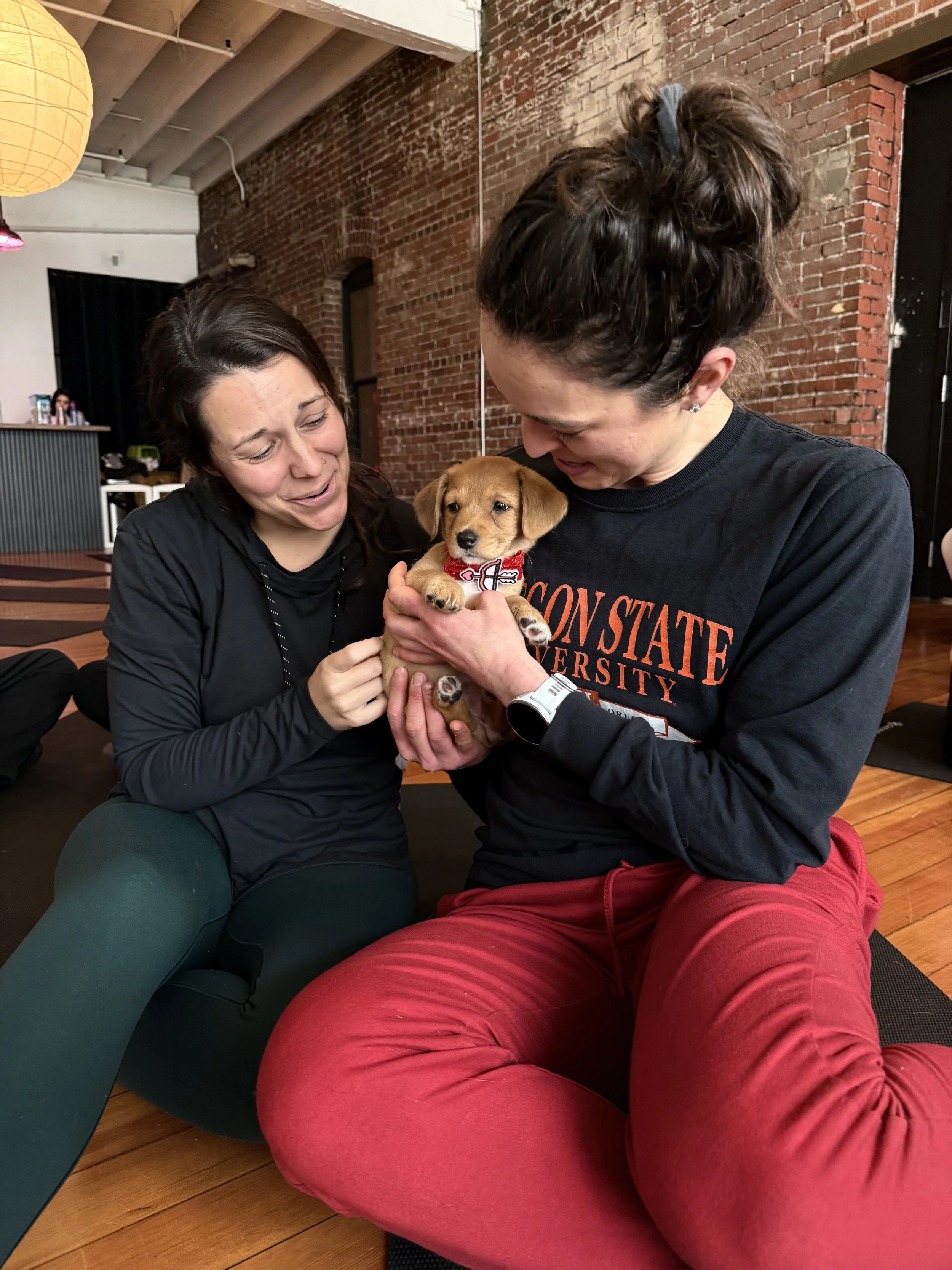 Friends and clients playing with puppies at the 2026 VIP Puppy Yoga event in Portland, OR